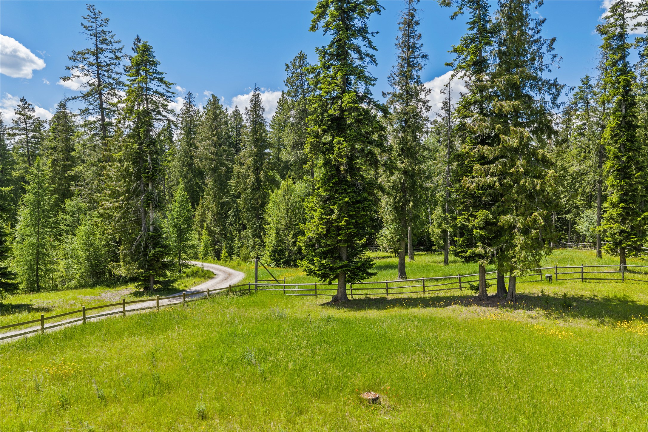214 Rusty Spur Trail Property Photo 72