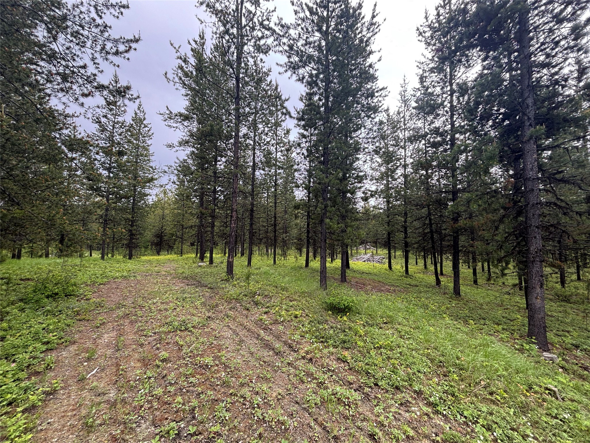 11532 North Fork Road Property Photo 10