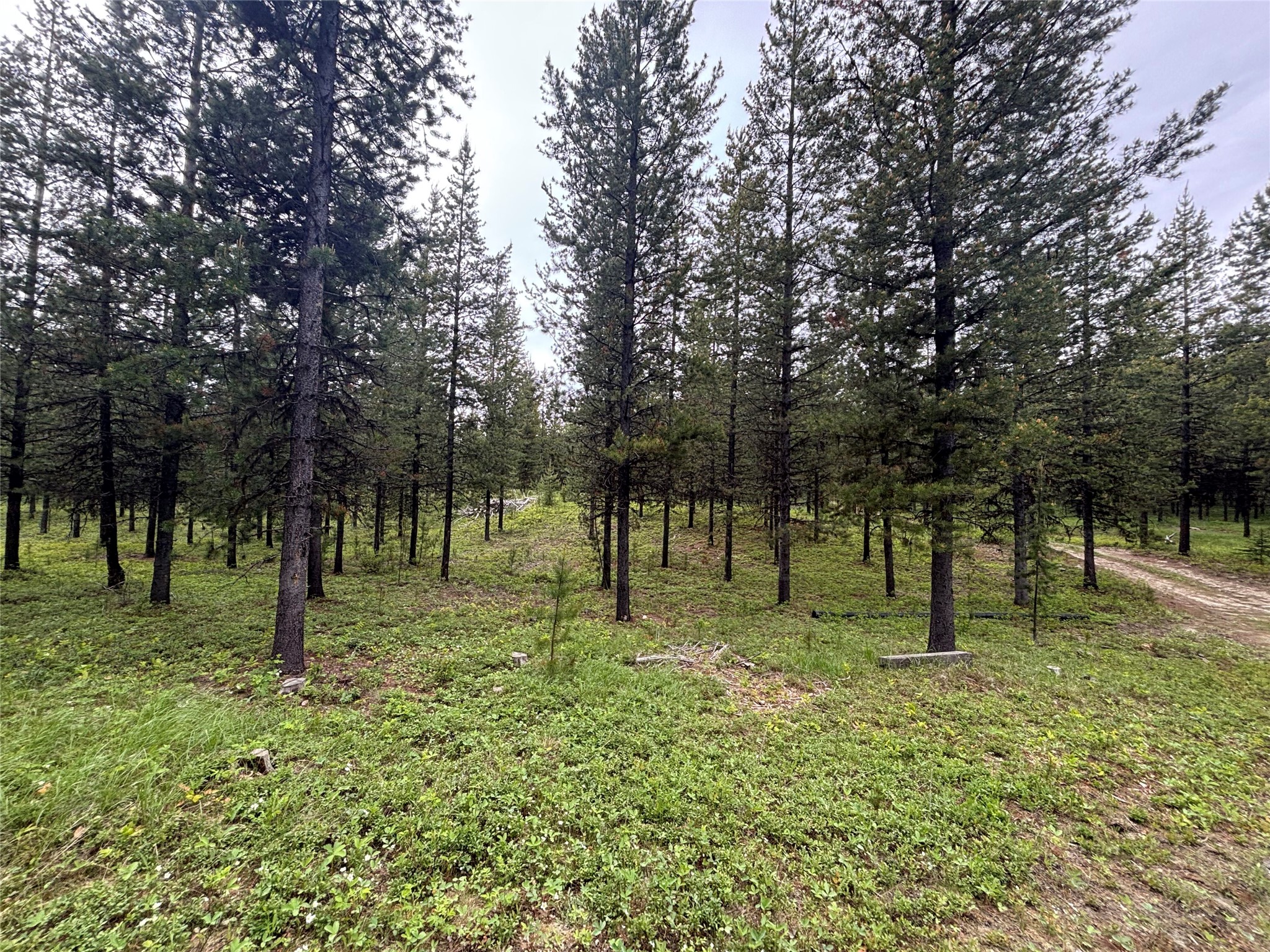 11532 North Fork Road Property Photo 11