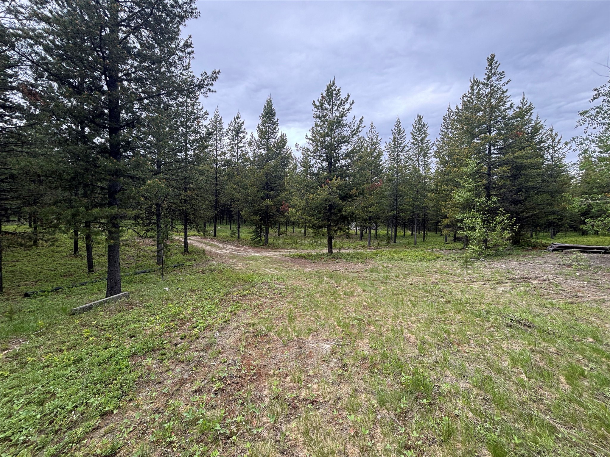 11532 North Fork Road Property Photo 12