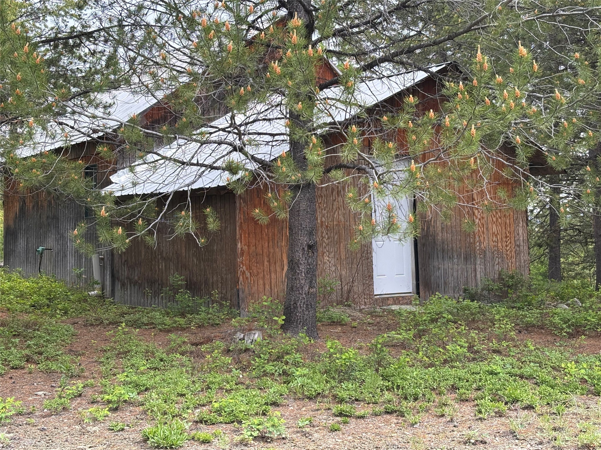 11532 North Fork Road Property Photo 13