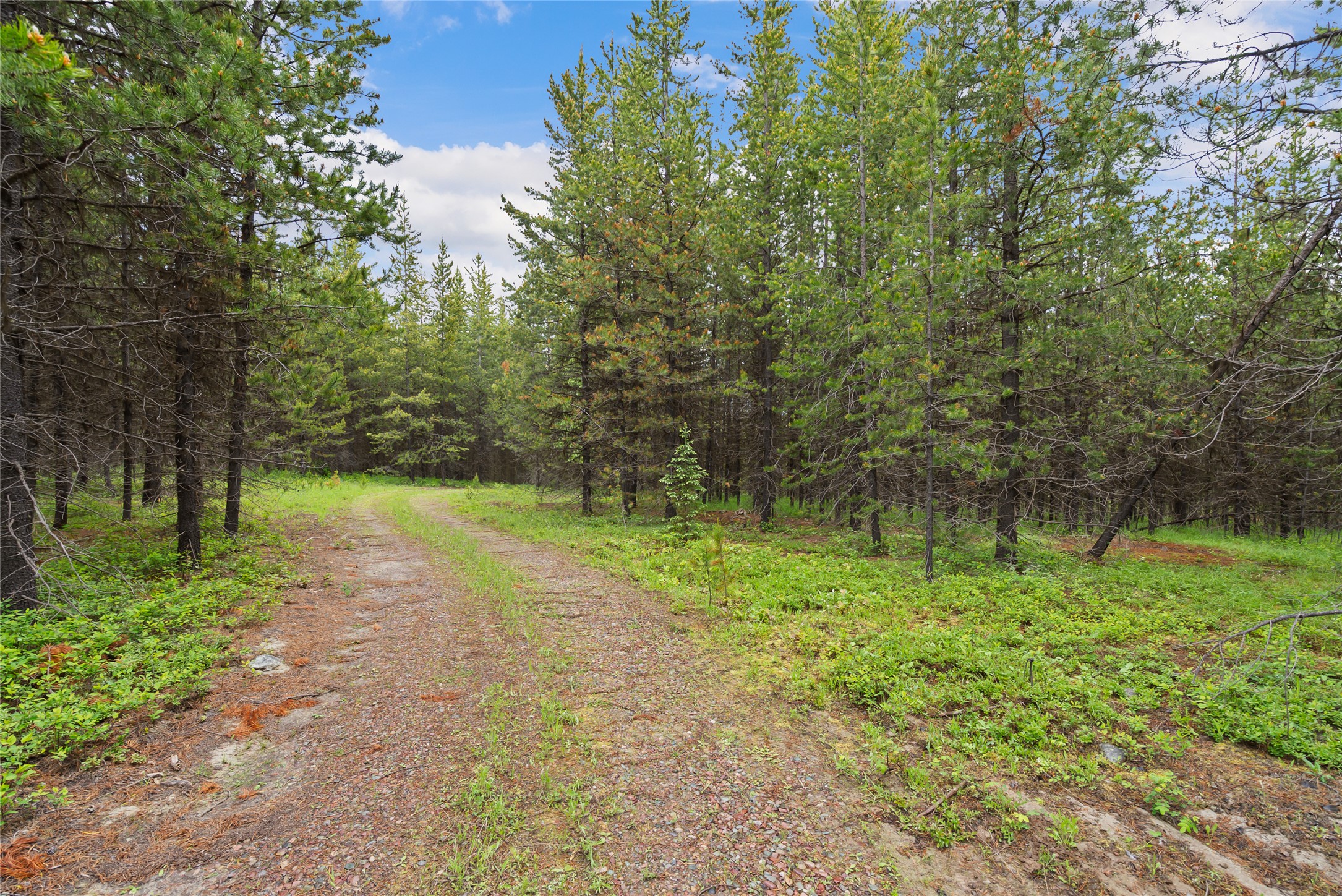 11532 North Fork Road Property Photo 16