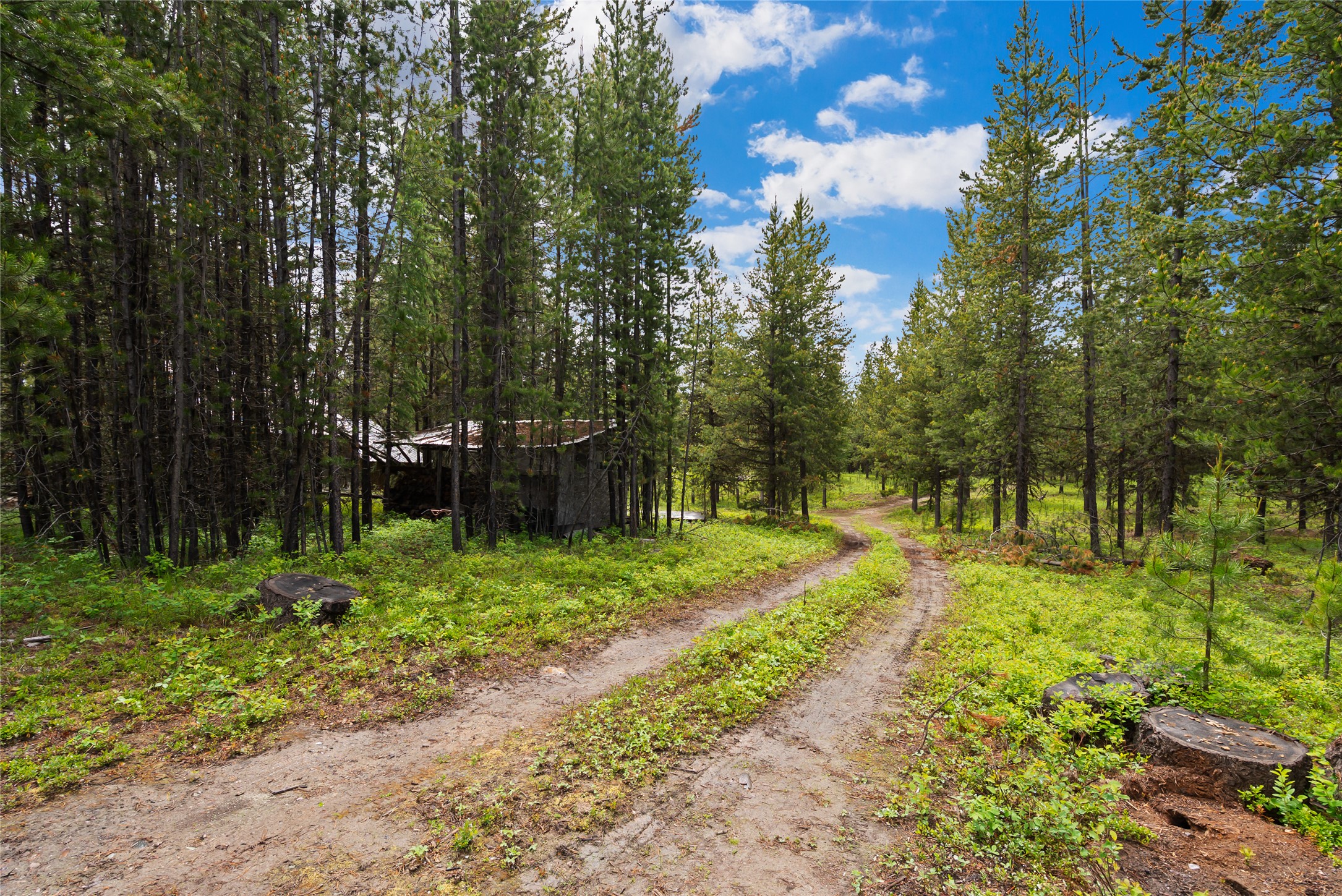 11532 North Fork Road Property Photo 20