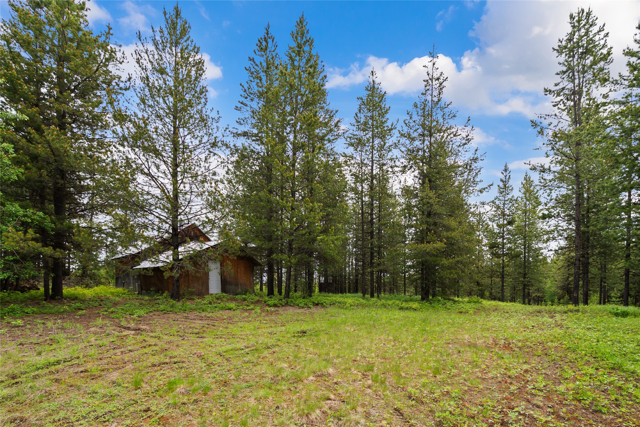 11532 North Fork Road Property Photo 23