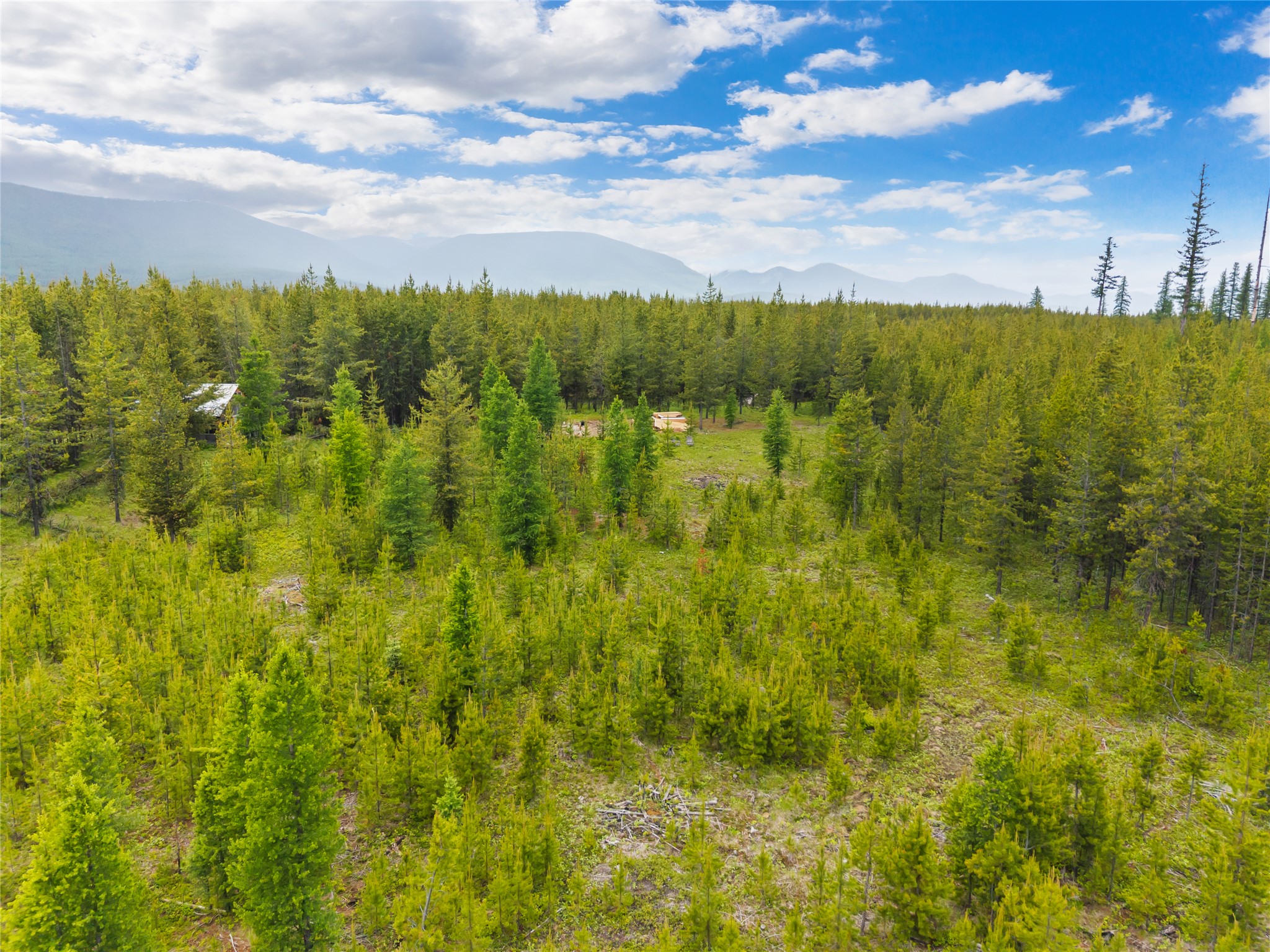 11532 North Fork Road Property Photo 35
