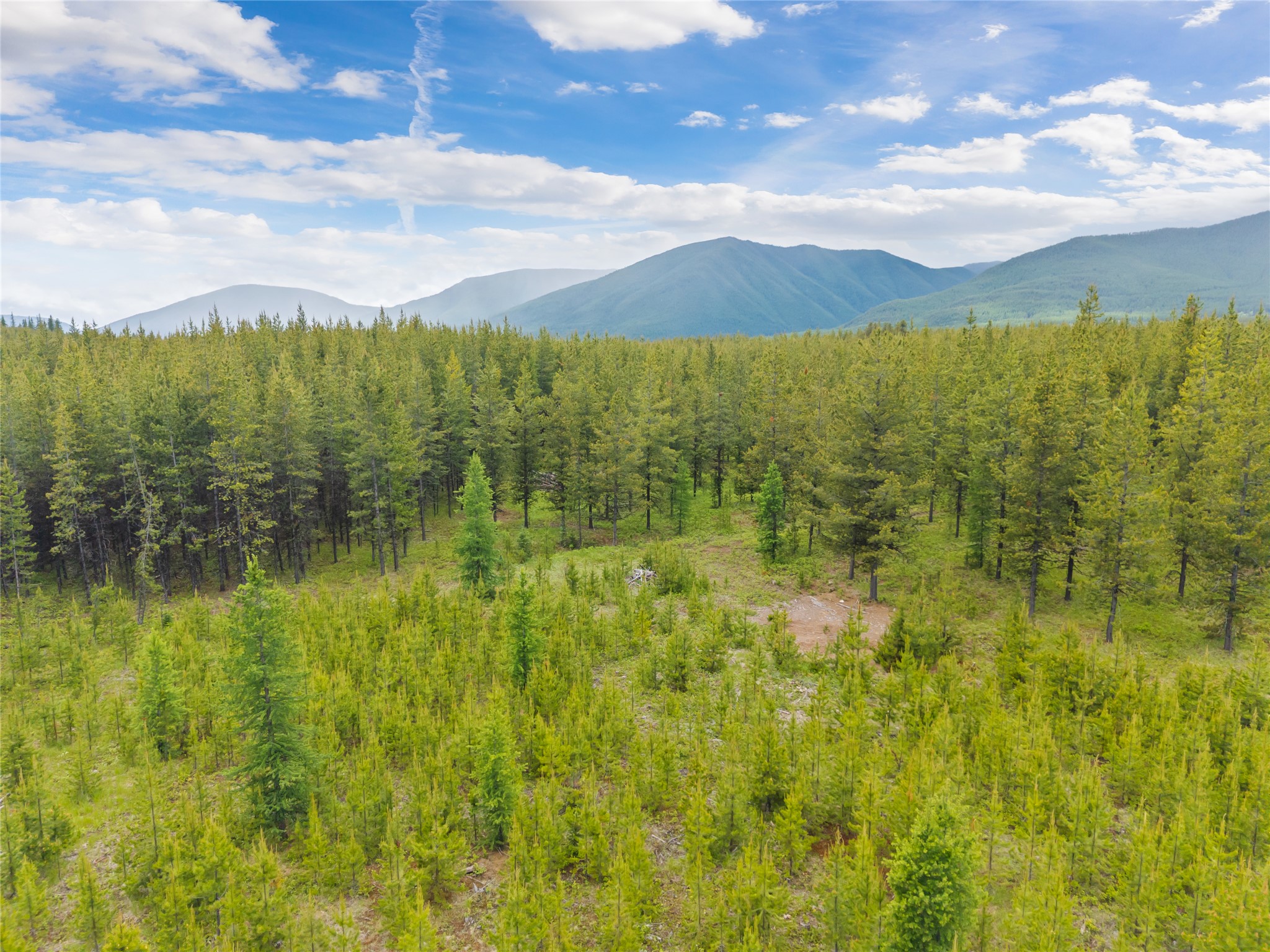 11532 North Fork Road Property Photo 36