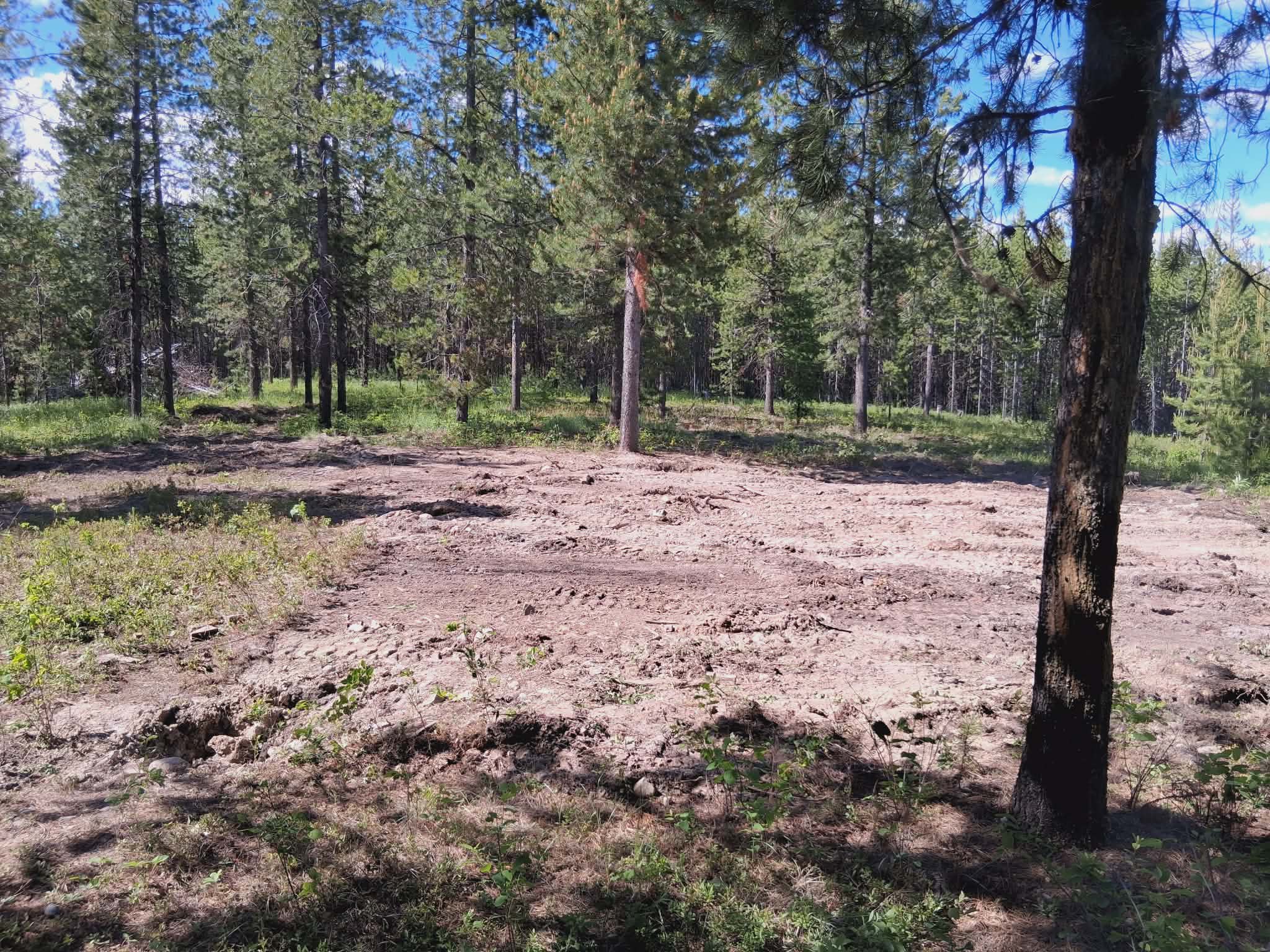 11532 North Fork Road Property Photo 42