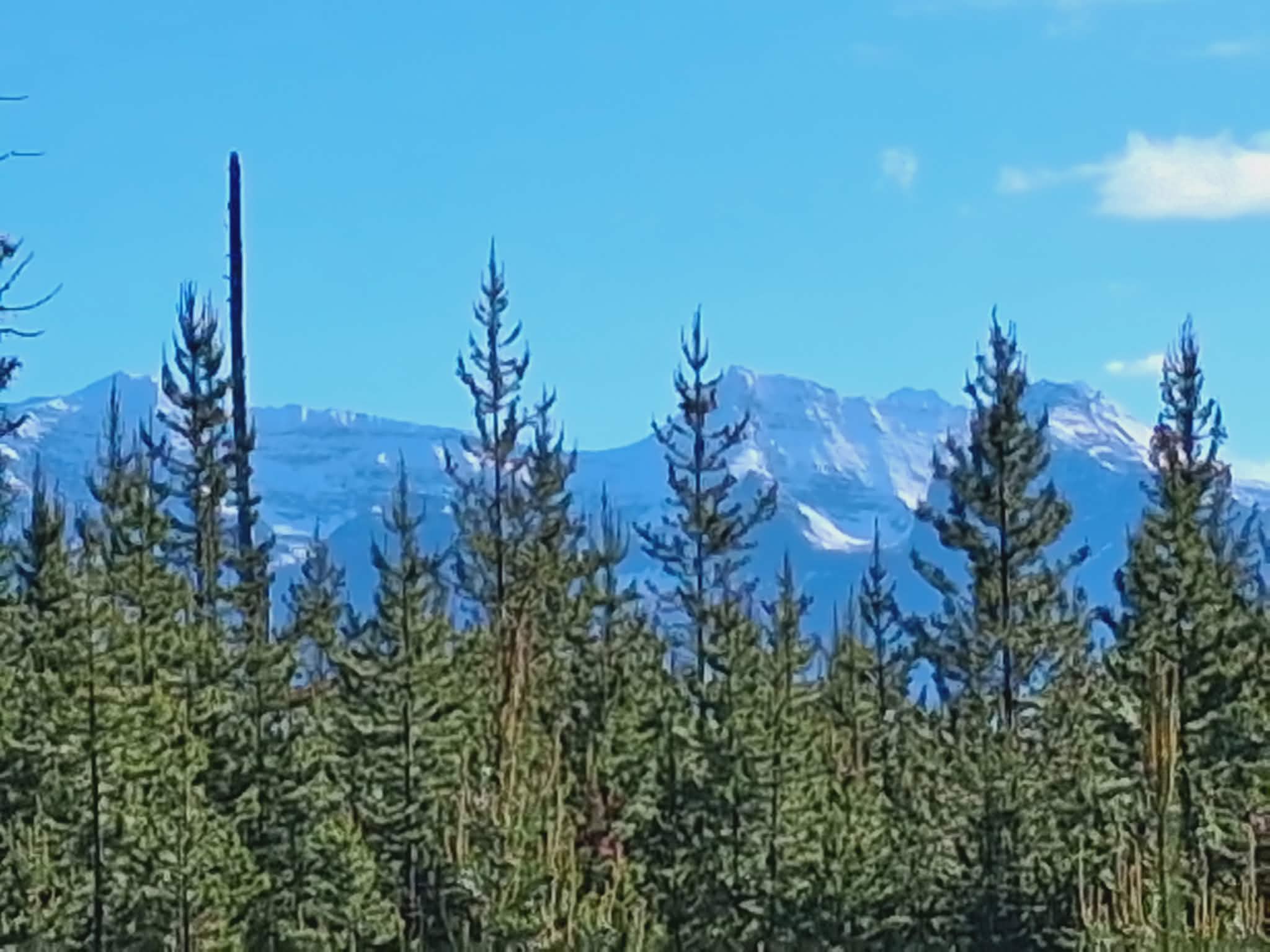 11532 North Fork Road Property Photo 49