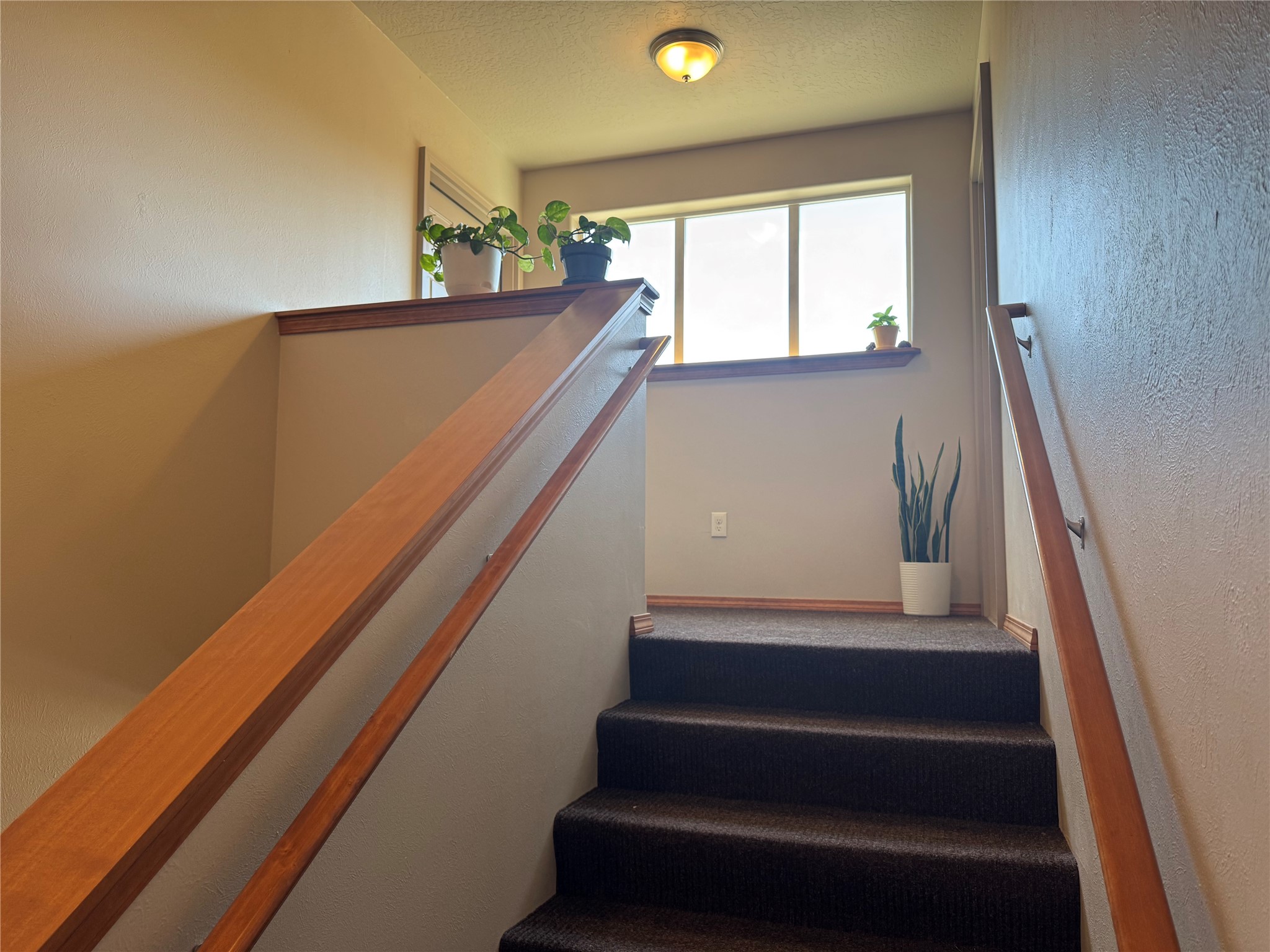 4971 Potter Park Loop Property Photo 8