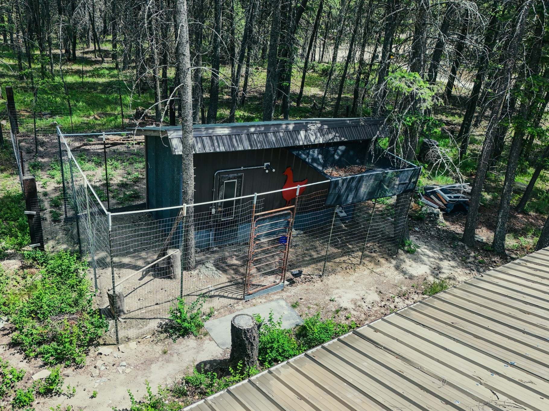 558 Bald Rock Road Property Photo 32