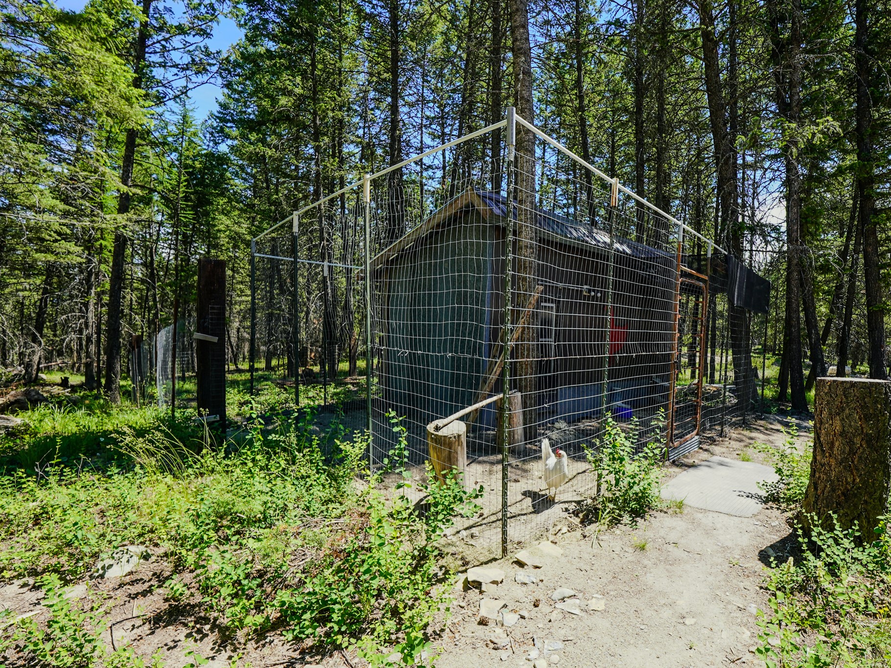 558 Bald Rock Road Property Photo 33