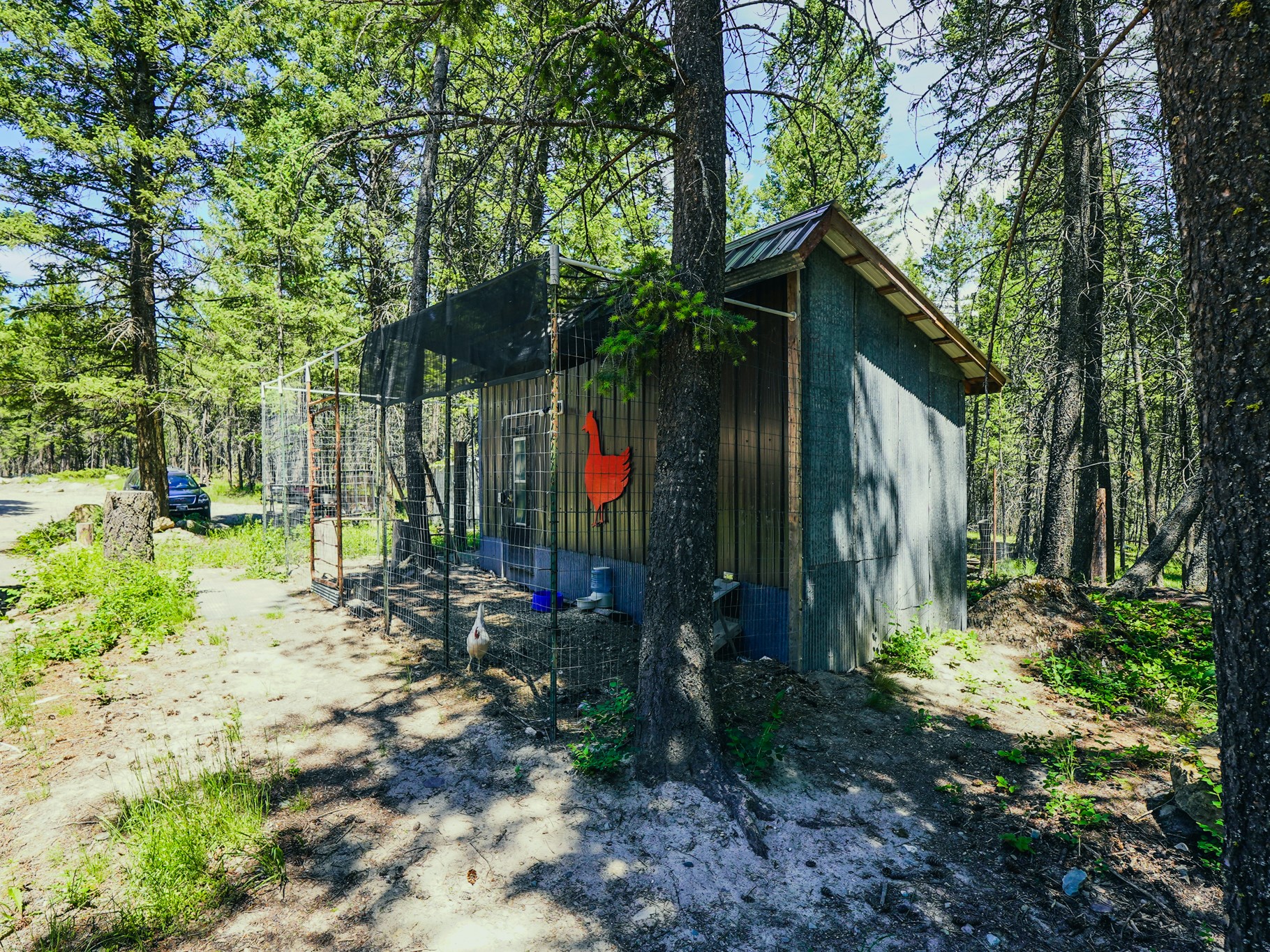 558 Bald Rock Road Property Photo 34