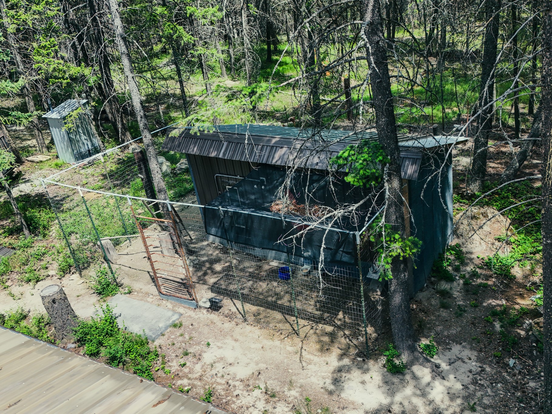 558 Bald Rock Road Property Photo 35