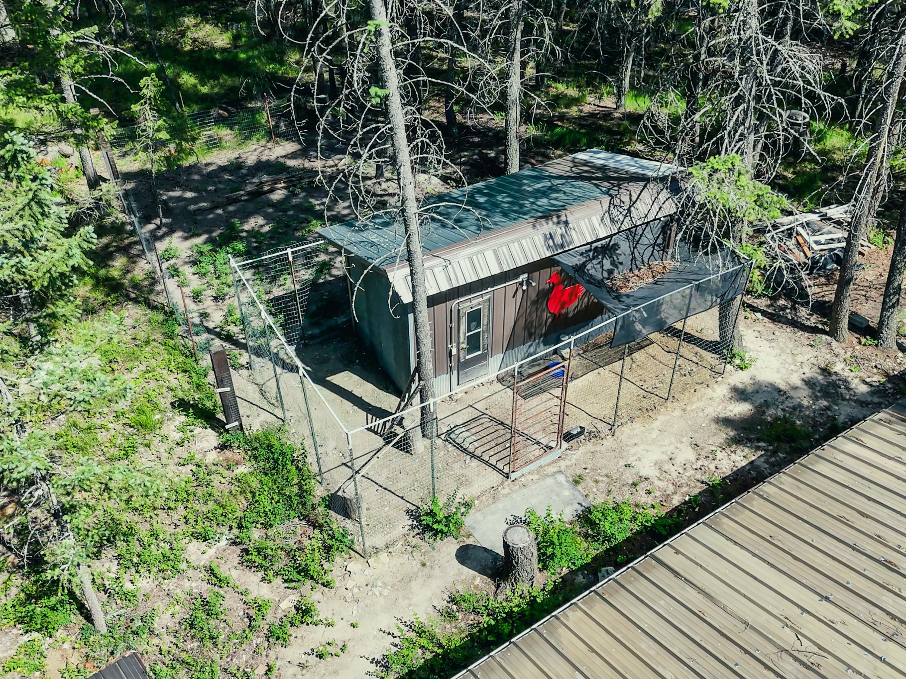 558 Bald Rock Road Property Photo 37