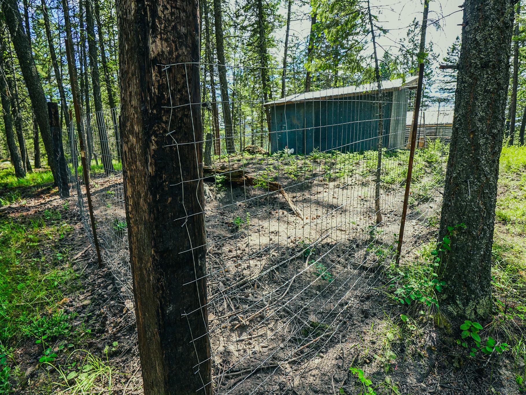 558 Bald Rock Road Property Photo 39