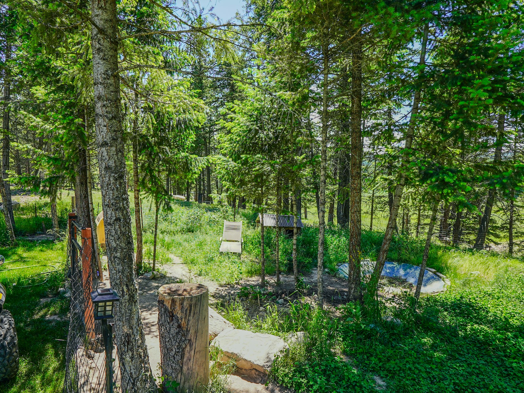 558 Bald Rock Road Property Photo 59
