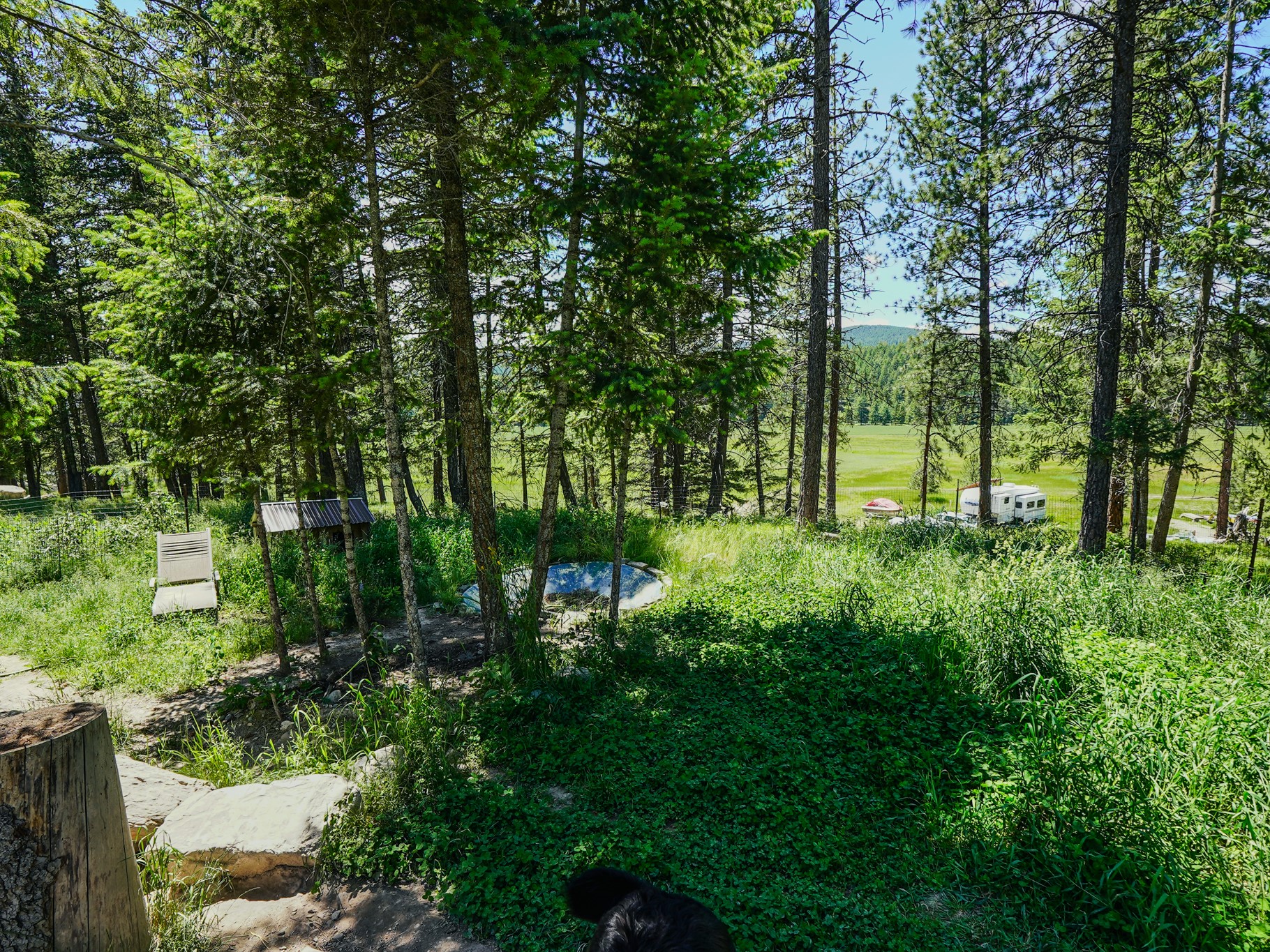 558 Bald Rock Road Property Photo 60