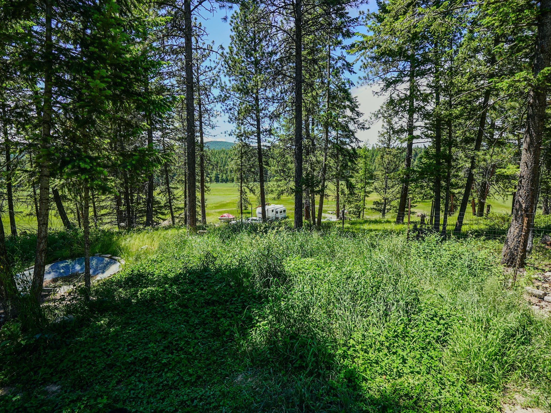 558 Bald Rock Road Property Photo 61