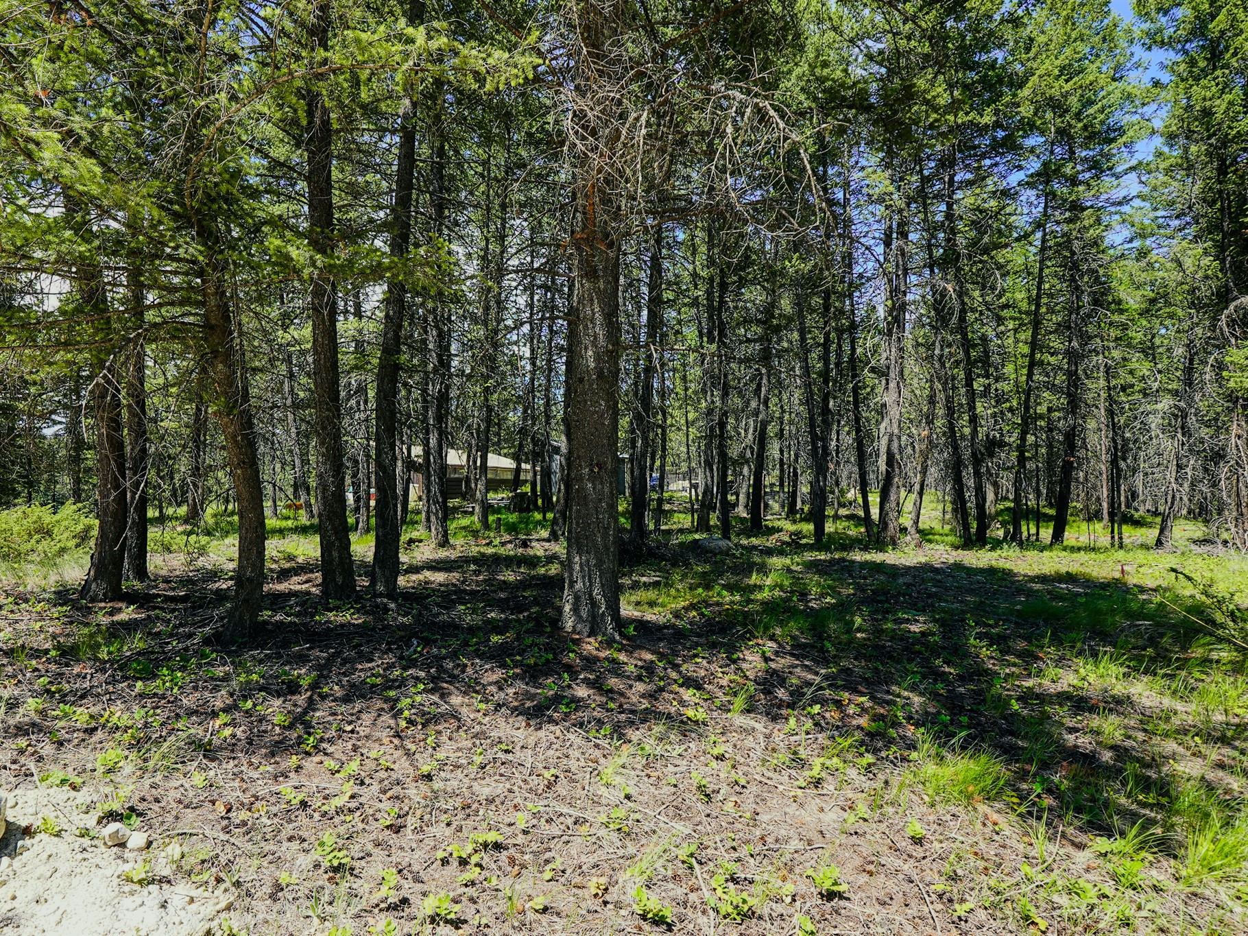 558 Bald Rock Road Property Photo 63