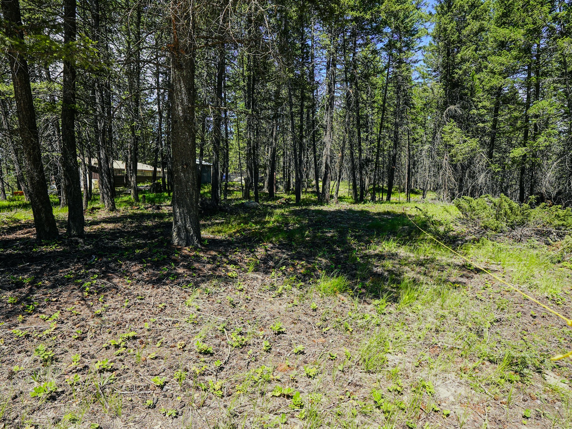 558 Bald Rock Road Property Photo 64