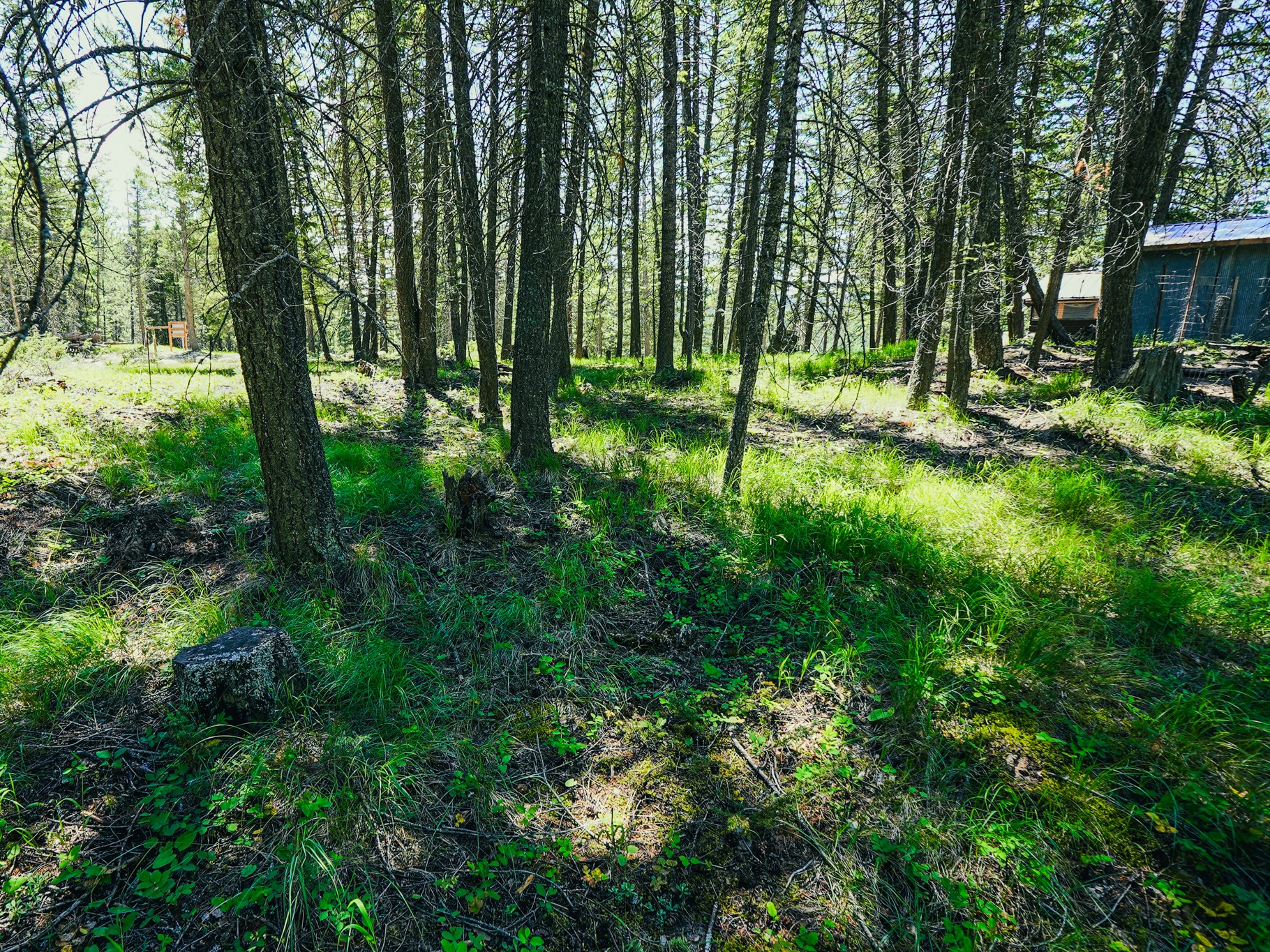558 Bald Rock Road Property Photo 65