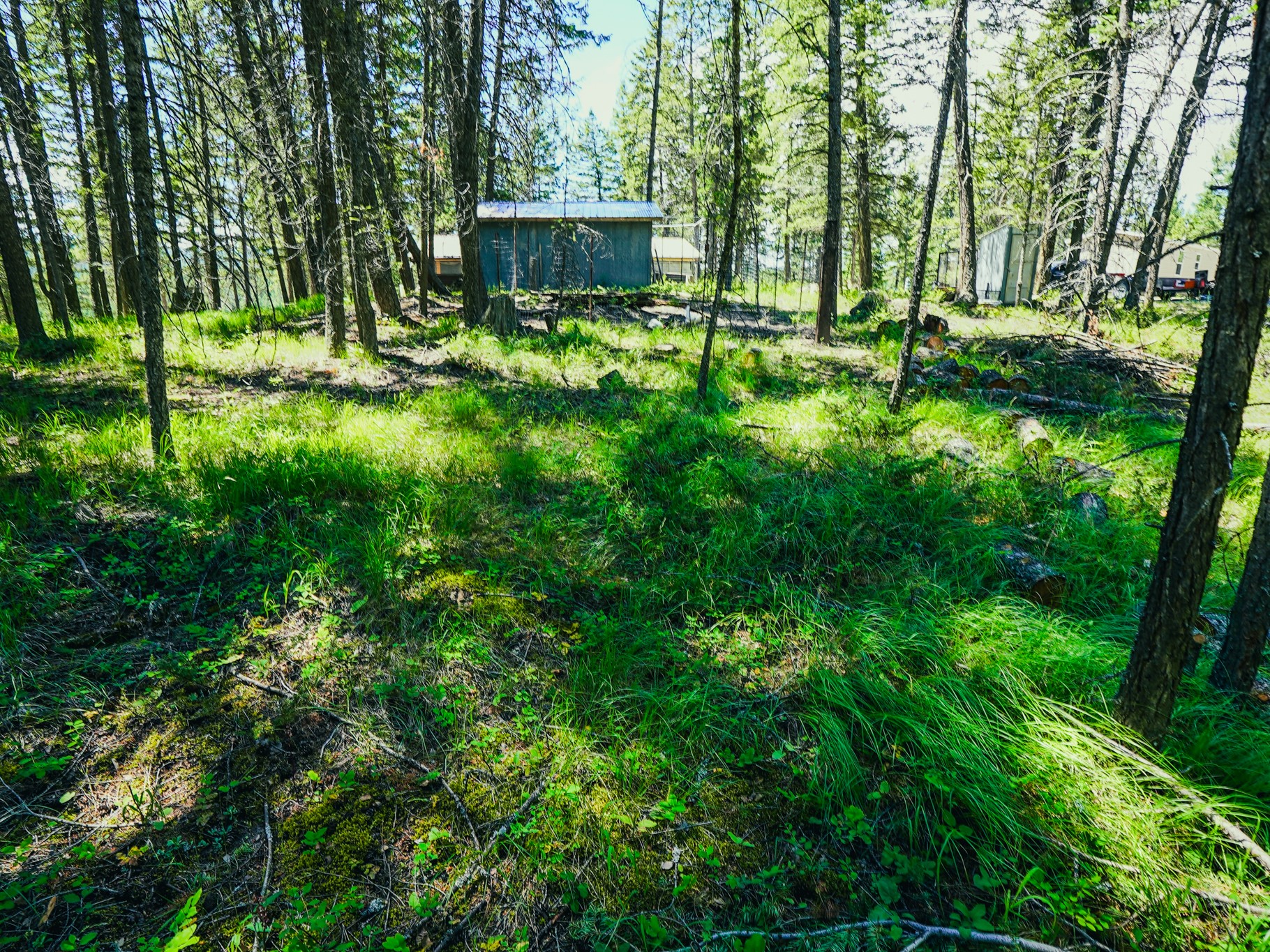 558 Bald Rock Road Property Photo 66
