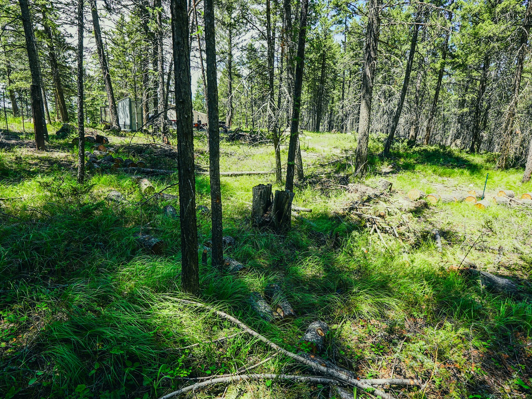 558 Bald Rock Road Property Photo 67