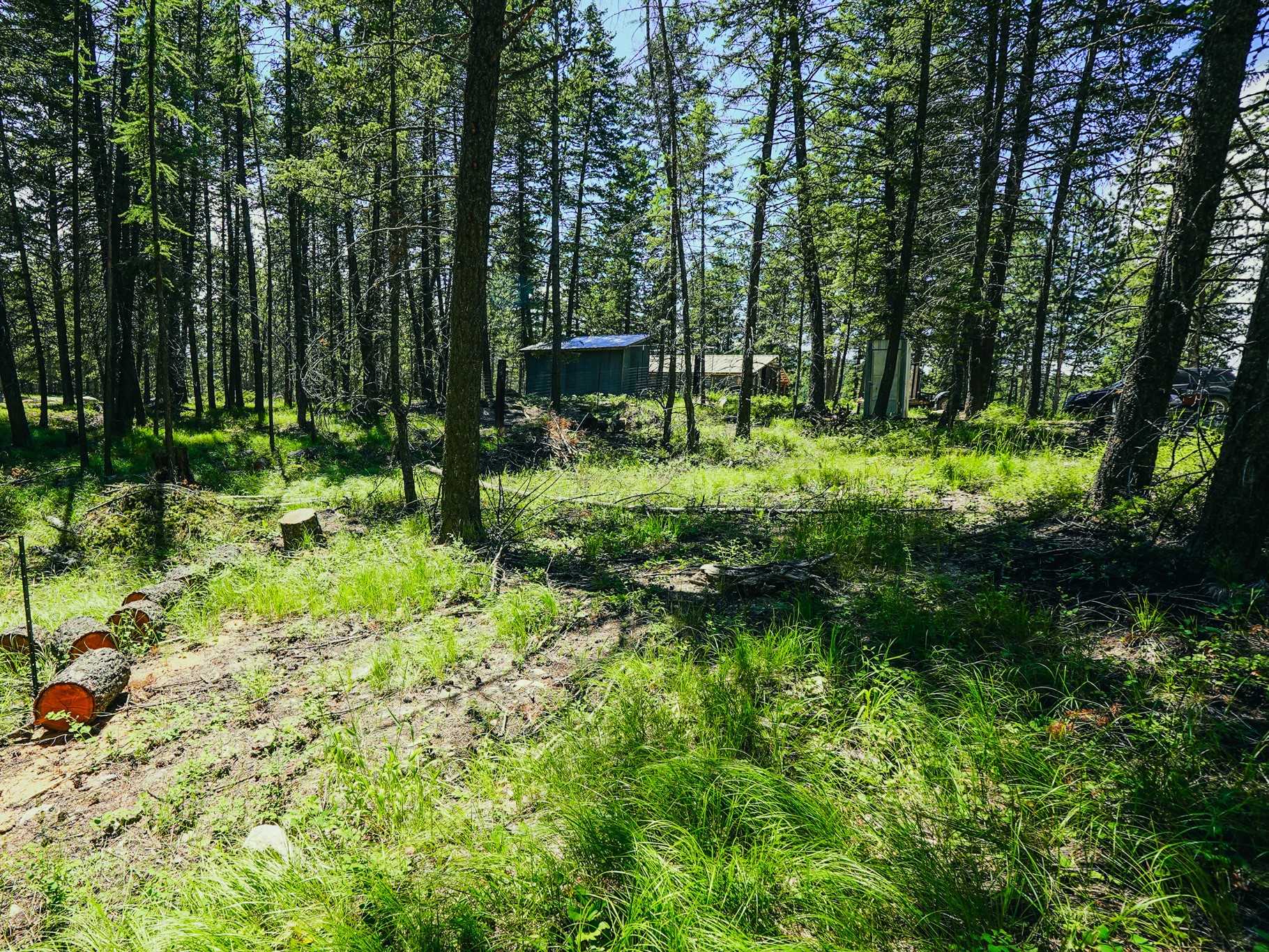 558 Bald Rock Road Property Photo 68