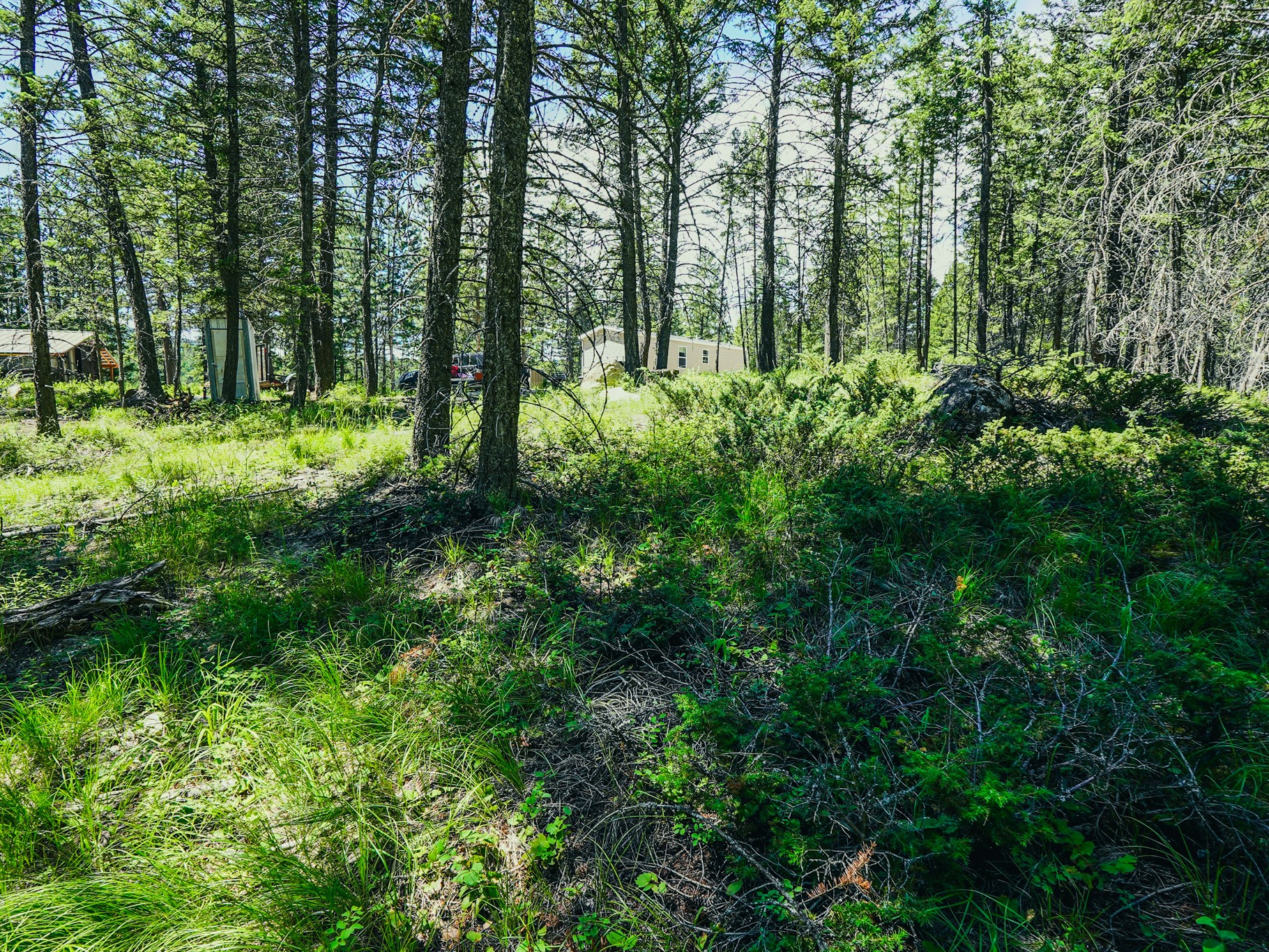 558 Bald Rock Road Property Photo 69