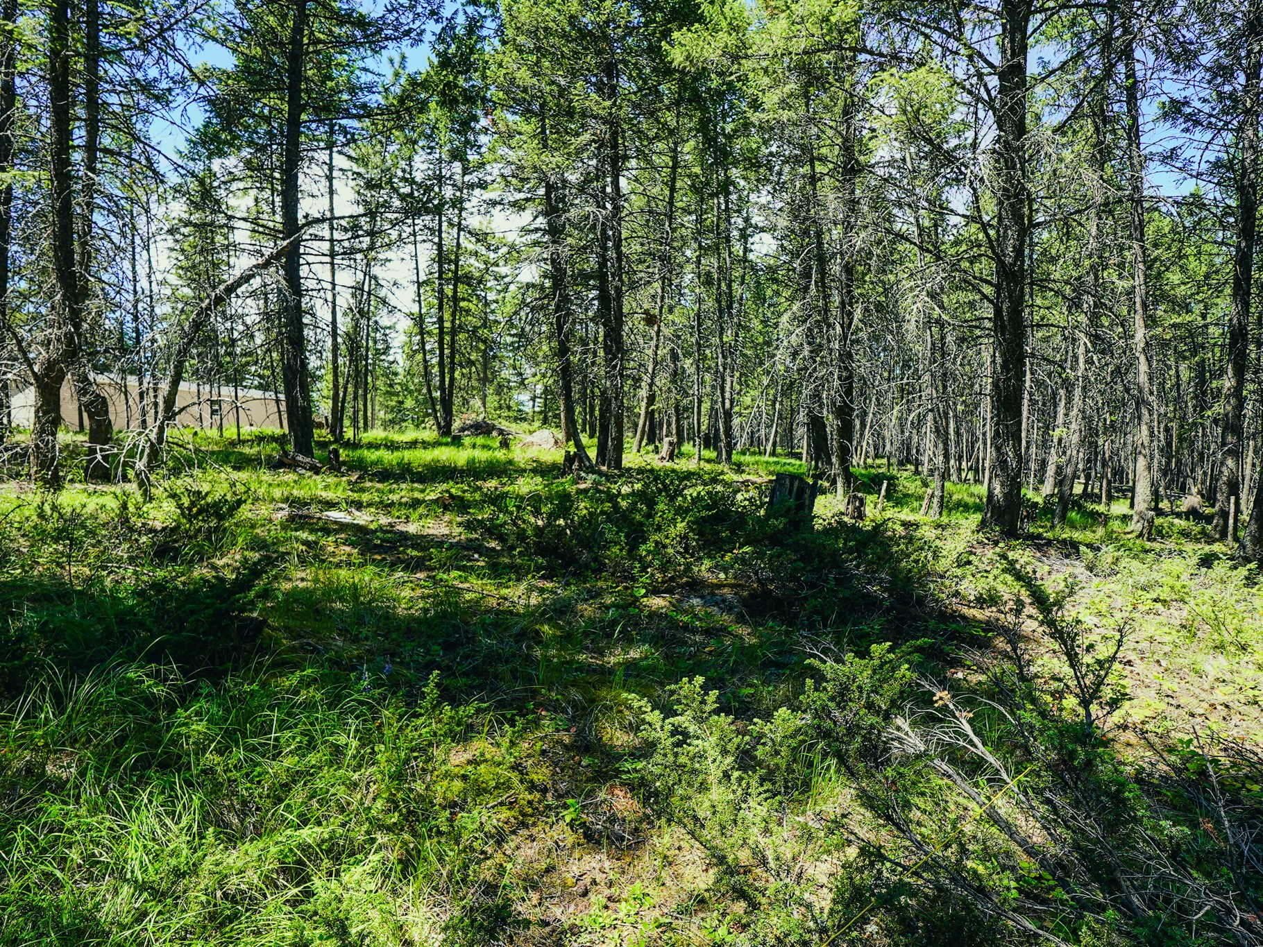 558 Bald Rock Road Property Photo 73