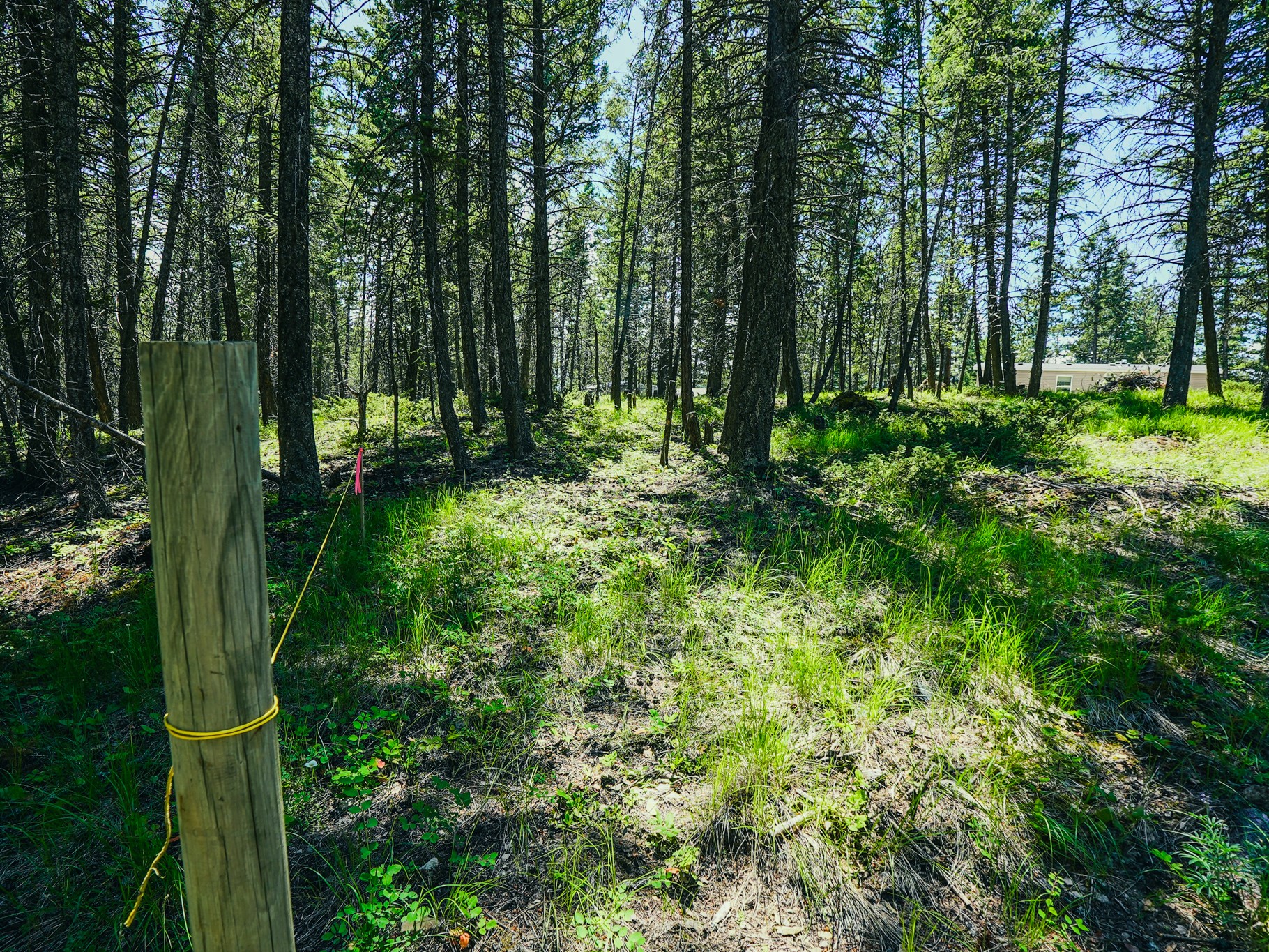 558 Bald Rock Road Property Photo 74