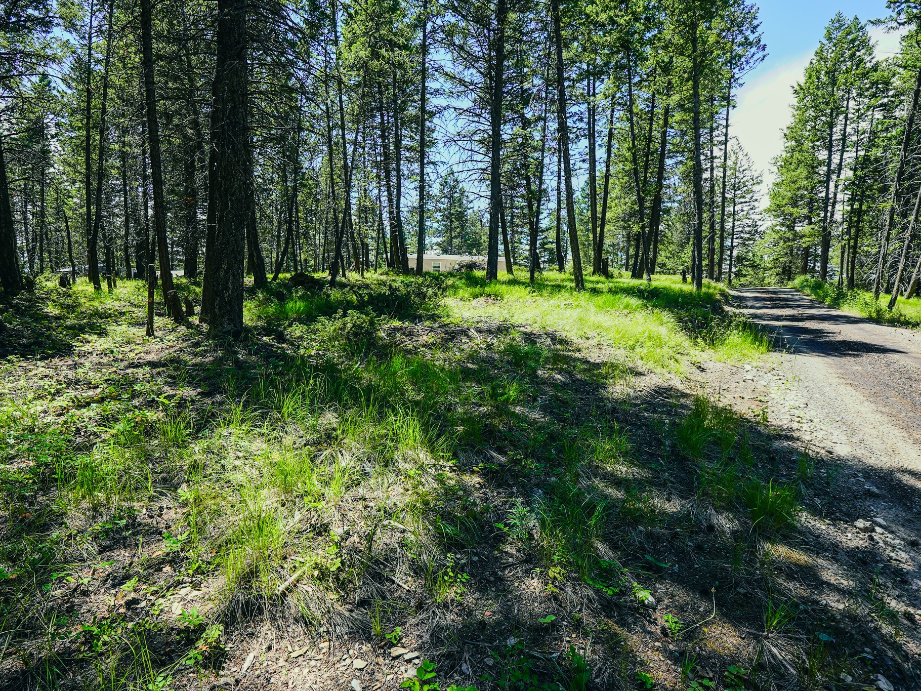 558 Bald Rock Road Property Photo 75