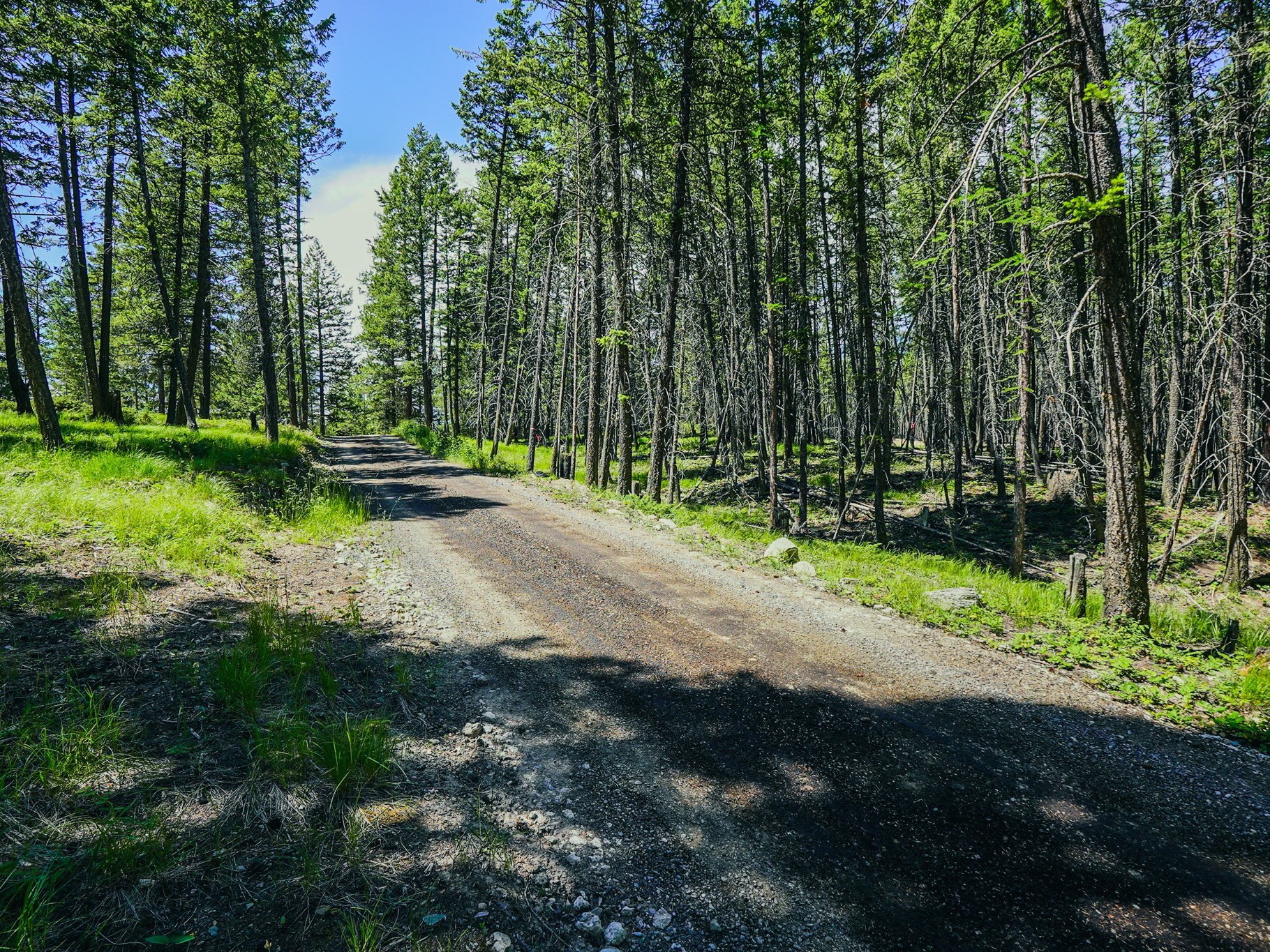 558 Bald Rock Road Property Photo 76