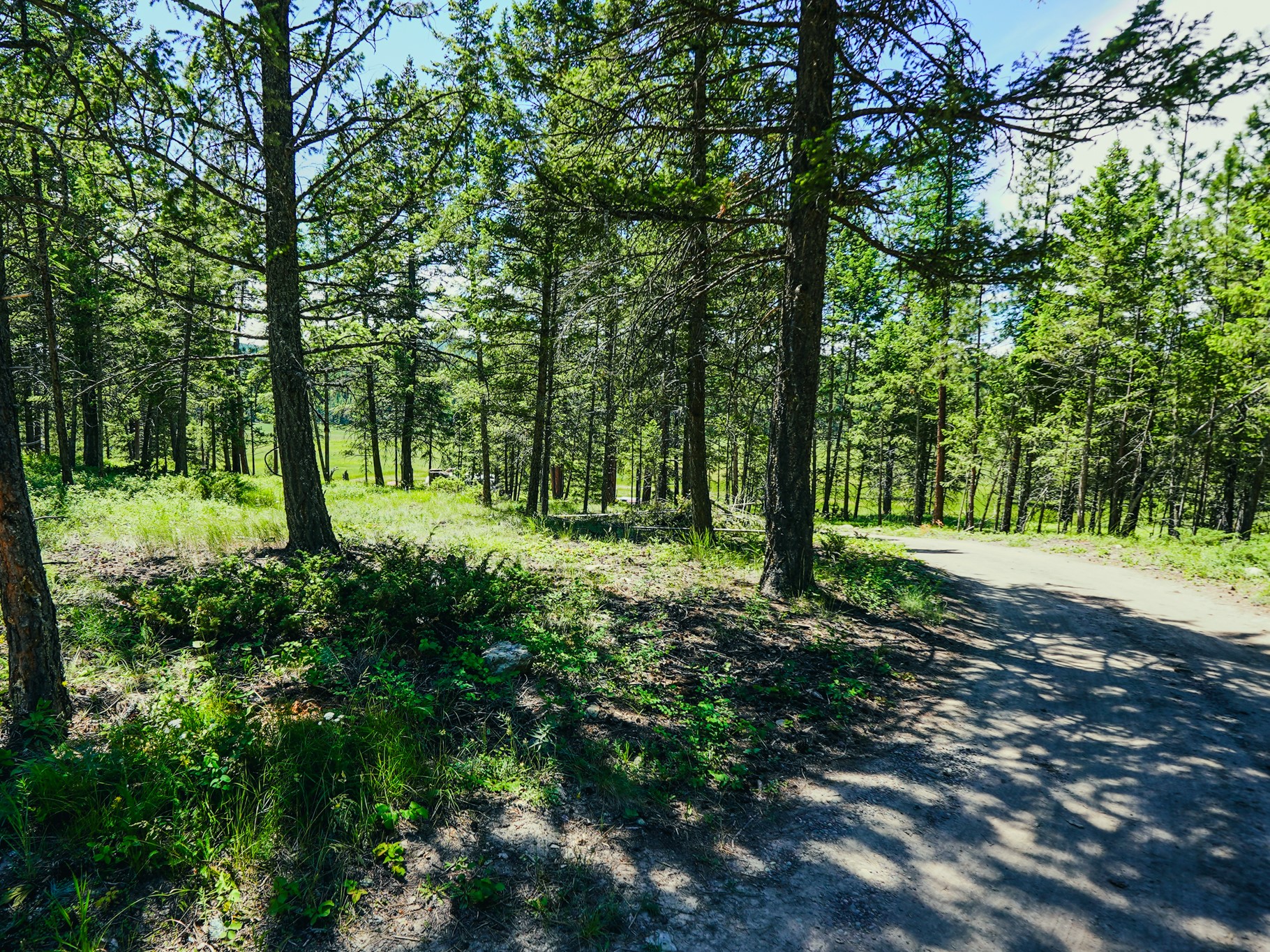 558 Bald Rock Road Property Photo 82