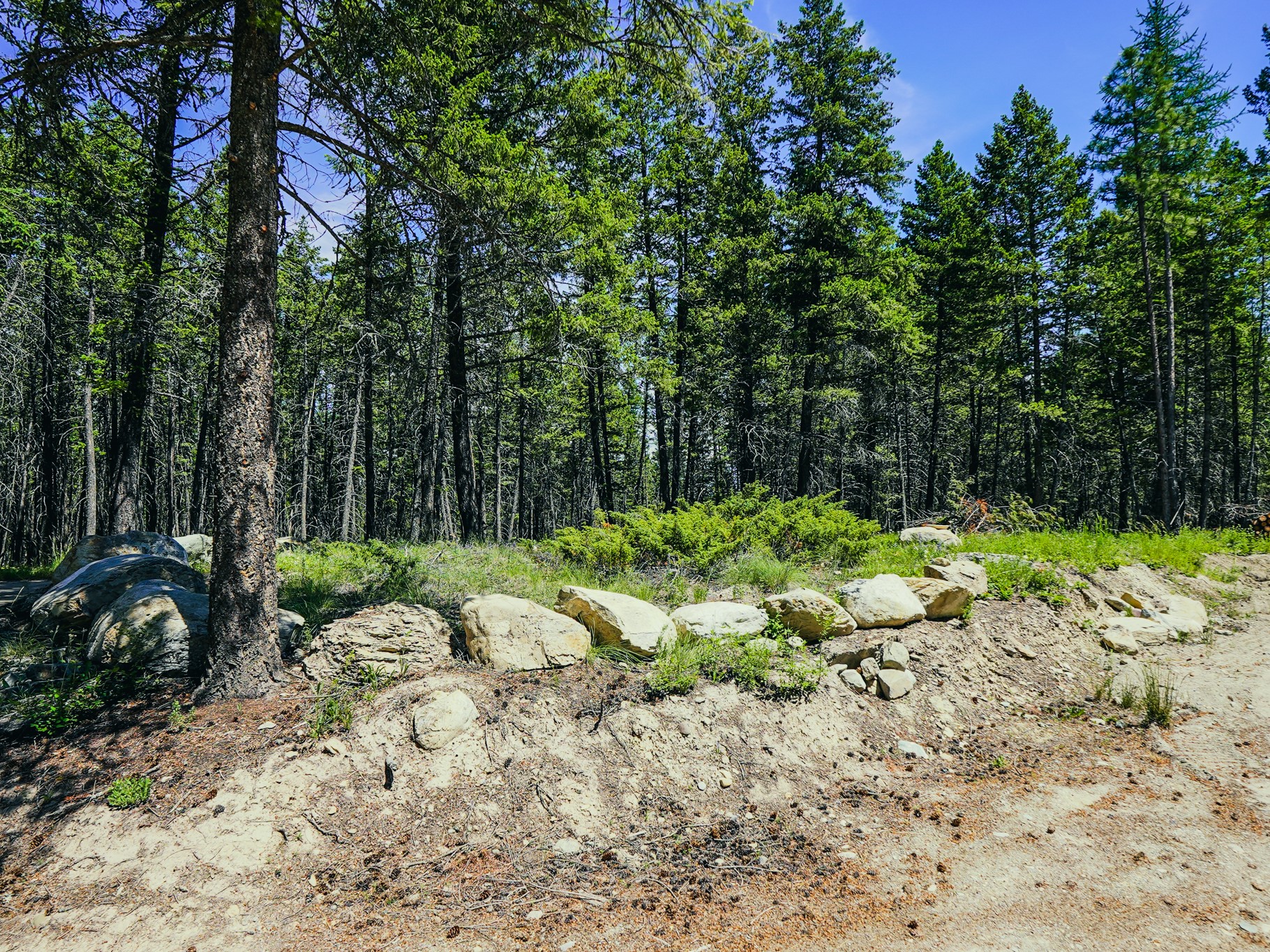 558 Bald Rock Road Property Photo 83