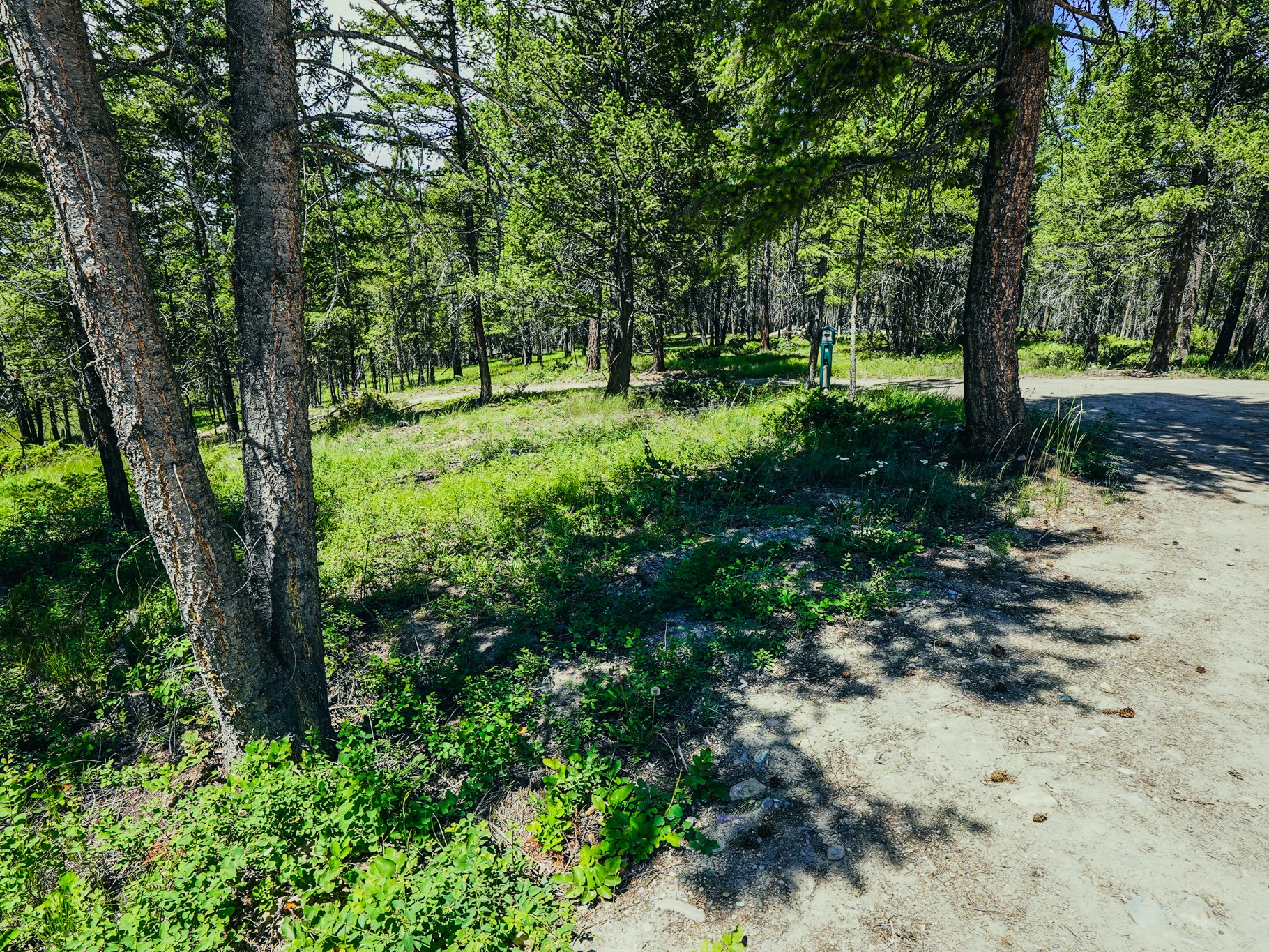 558 Bald Rock Road Property Photo 84