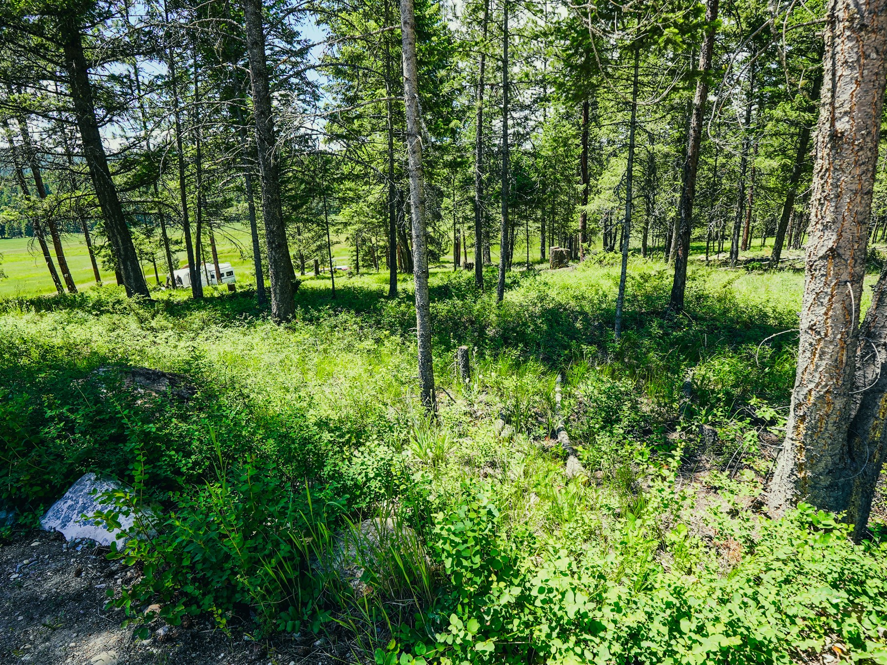 558 Bald Rock Road Property Photo 85
