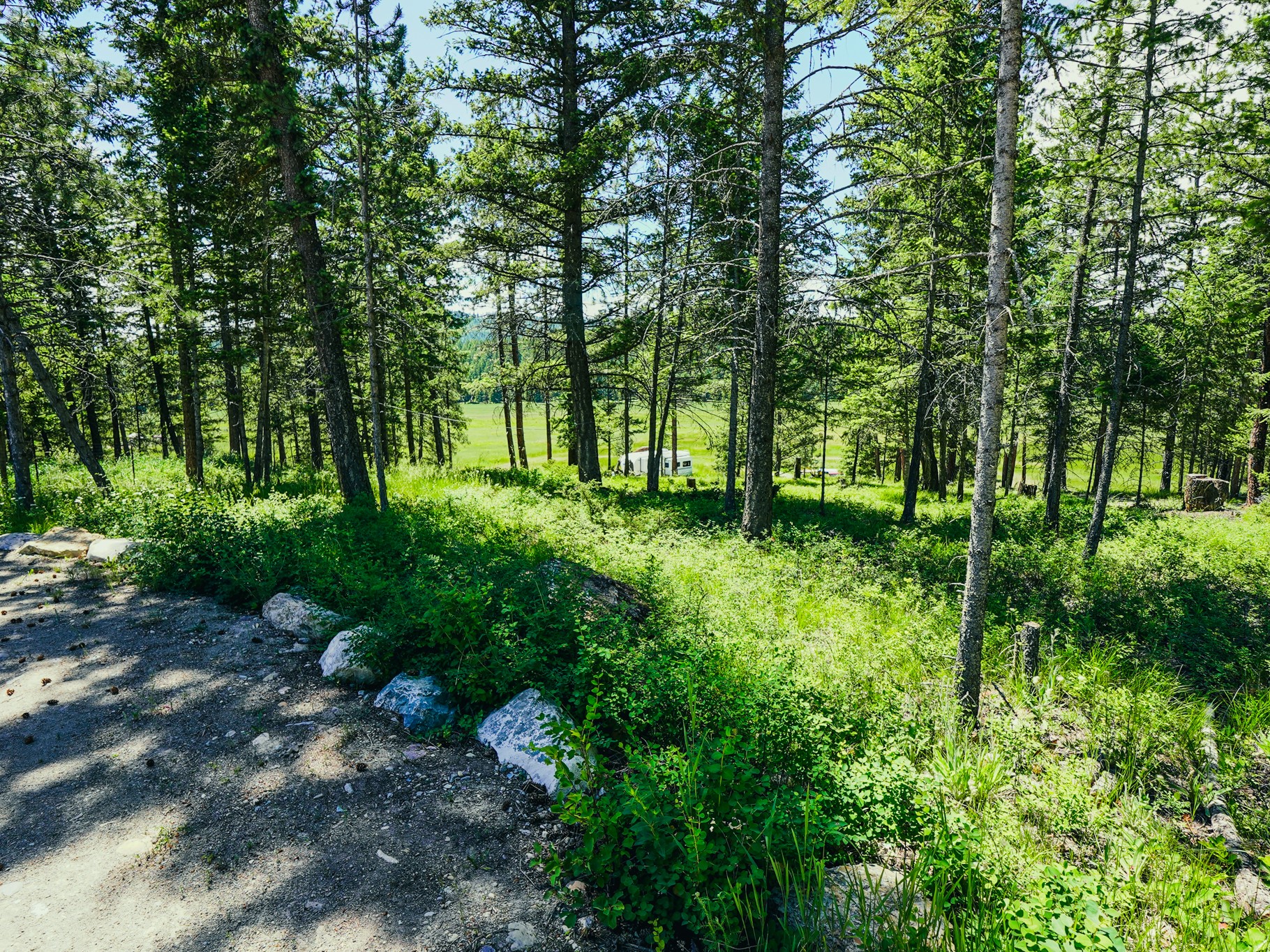 558 Bald Rock Road Property Photo 86
