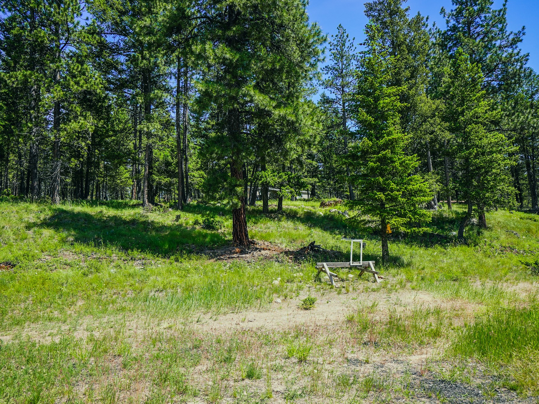 558 Bald Rock Road Property Photo 90