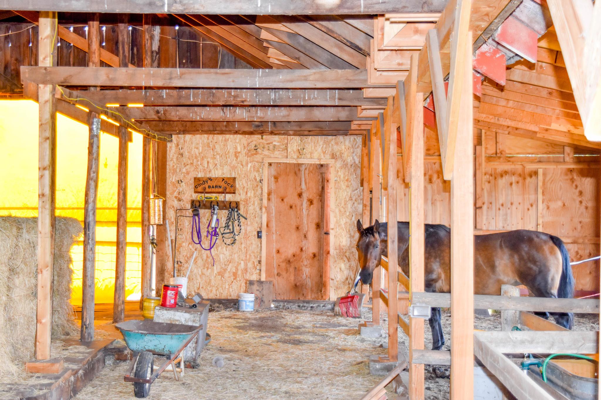 42377 Windy Ridge Lane Property Photo 34