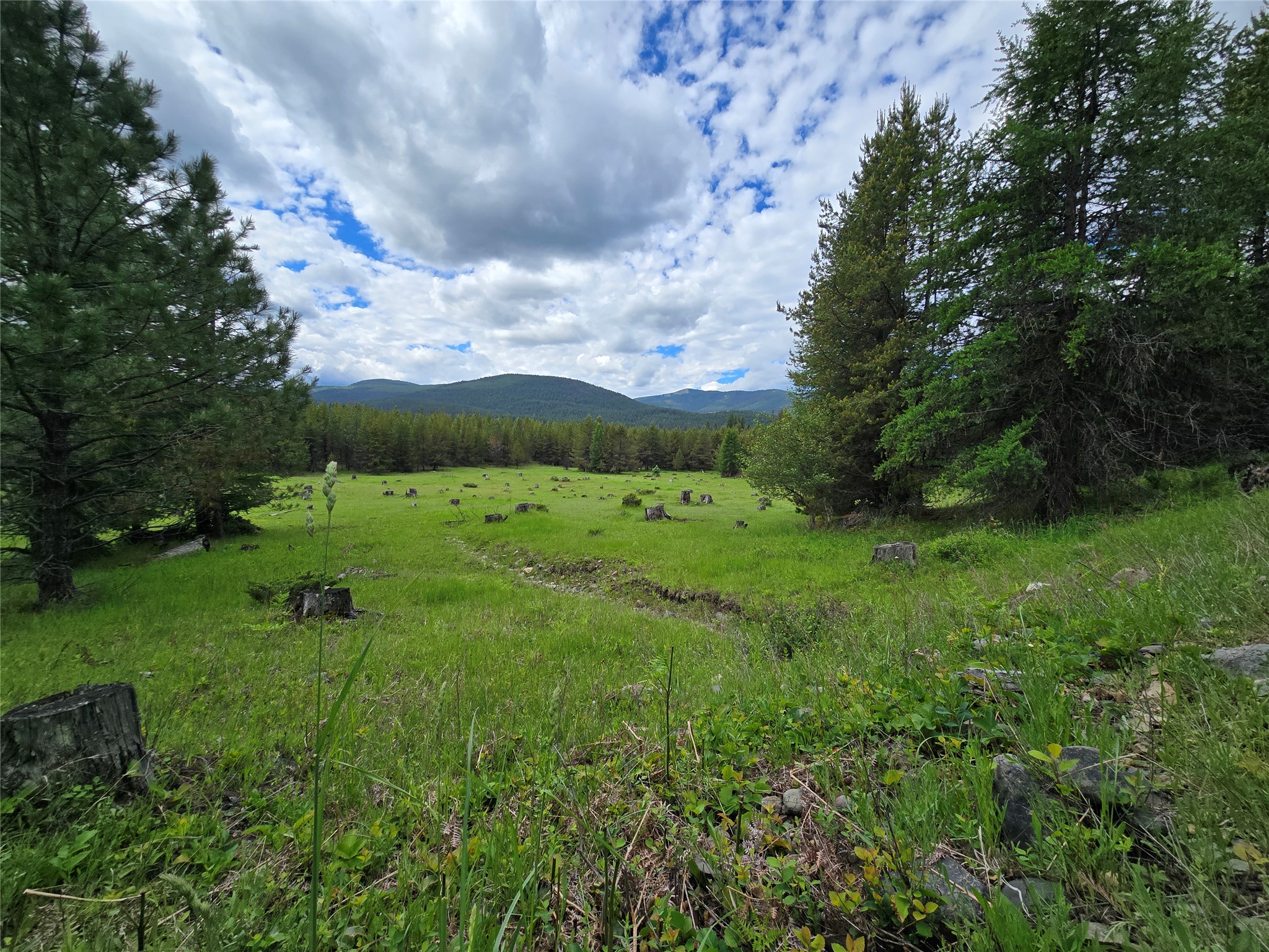 28341 Yaak River Road Property Photo 1
