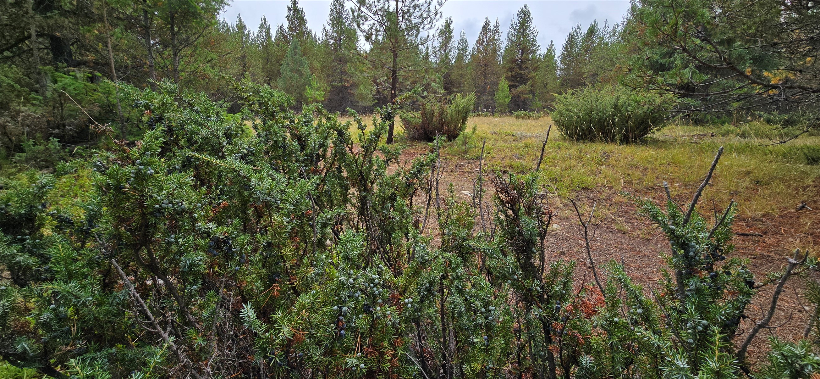 28341 Yaak River Road Property Photo 3