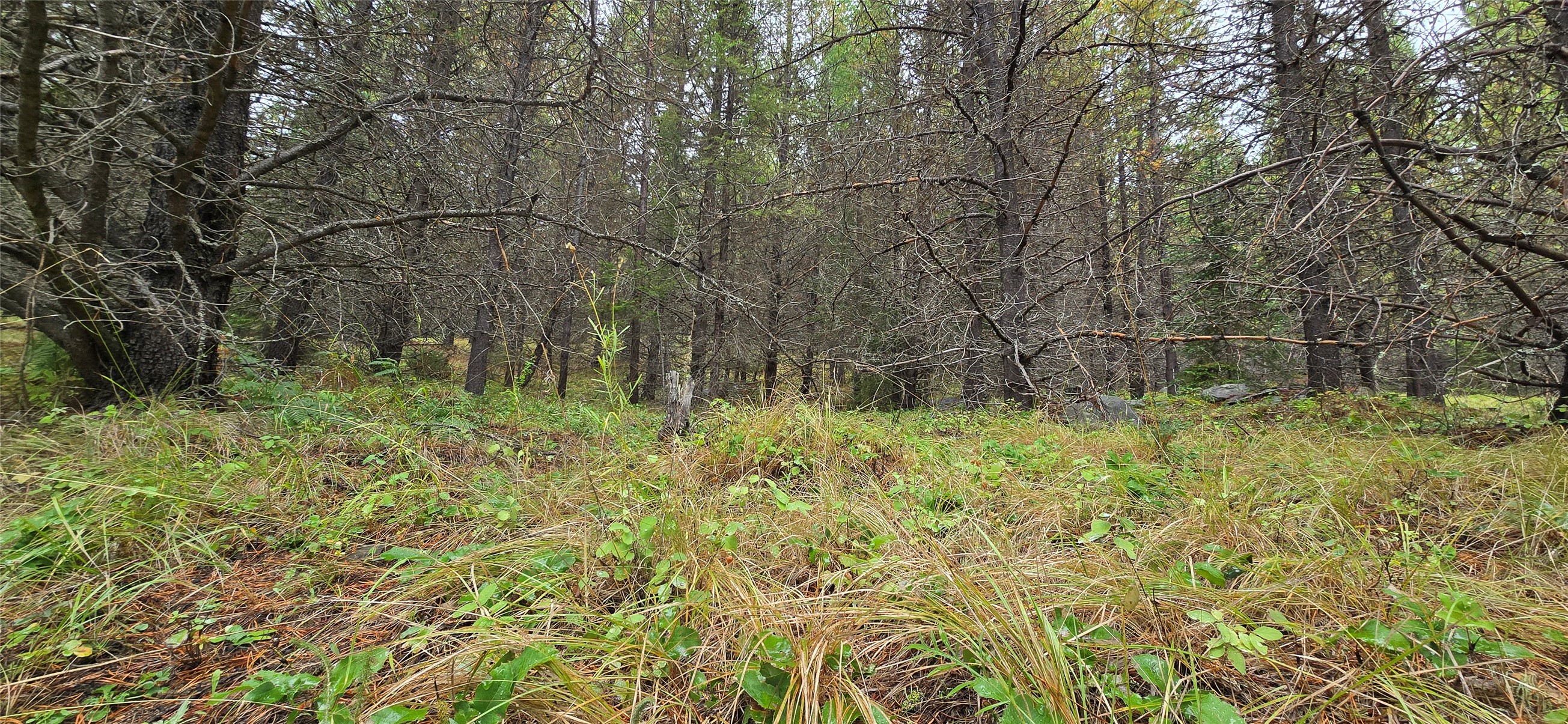 28341 Yaak River Road Property Photo 4