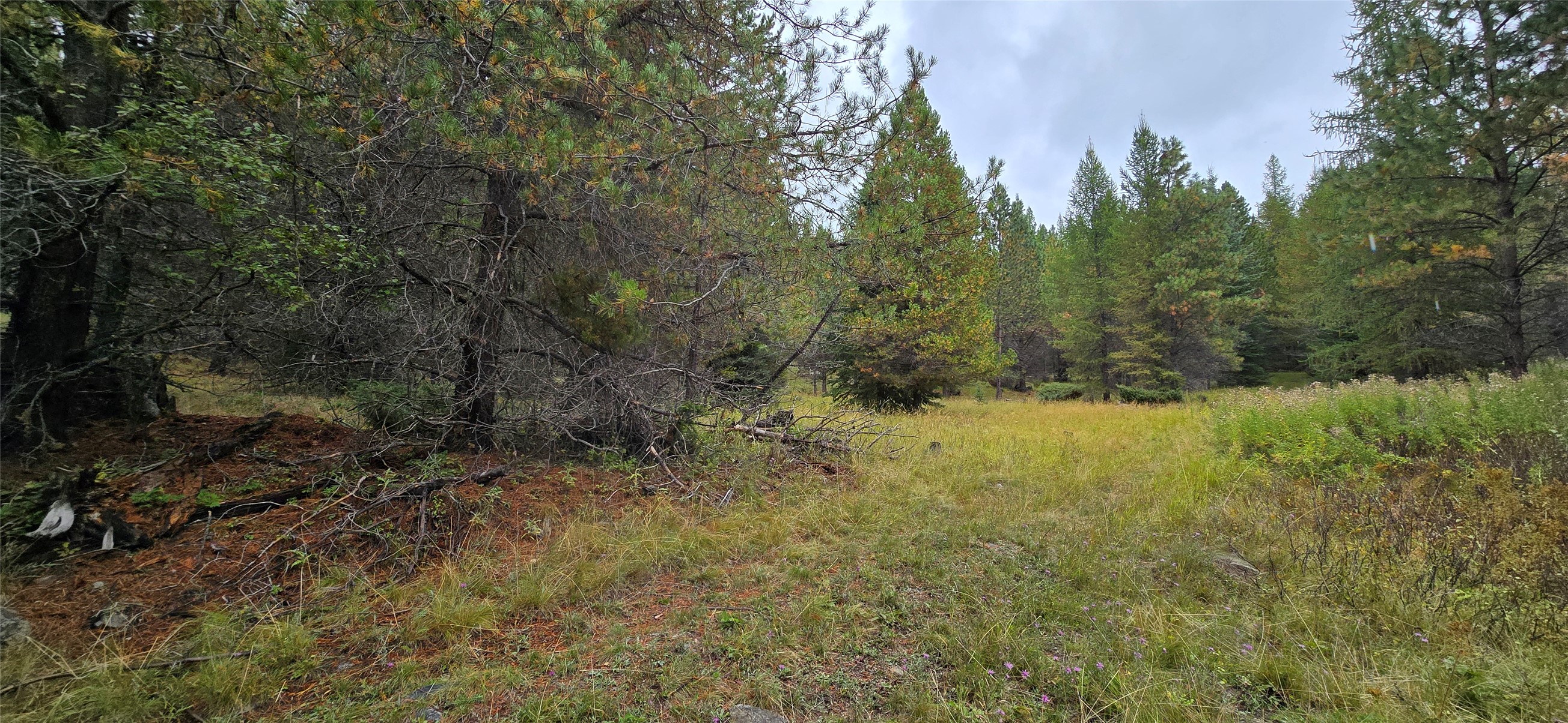 28341 Yaak River Road Property Photo 5