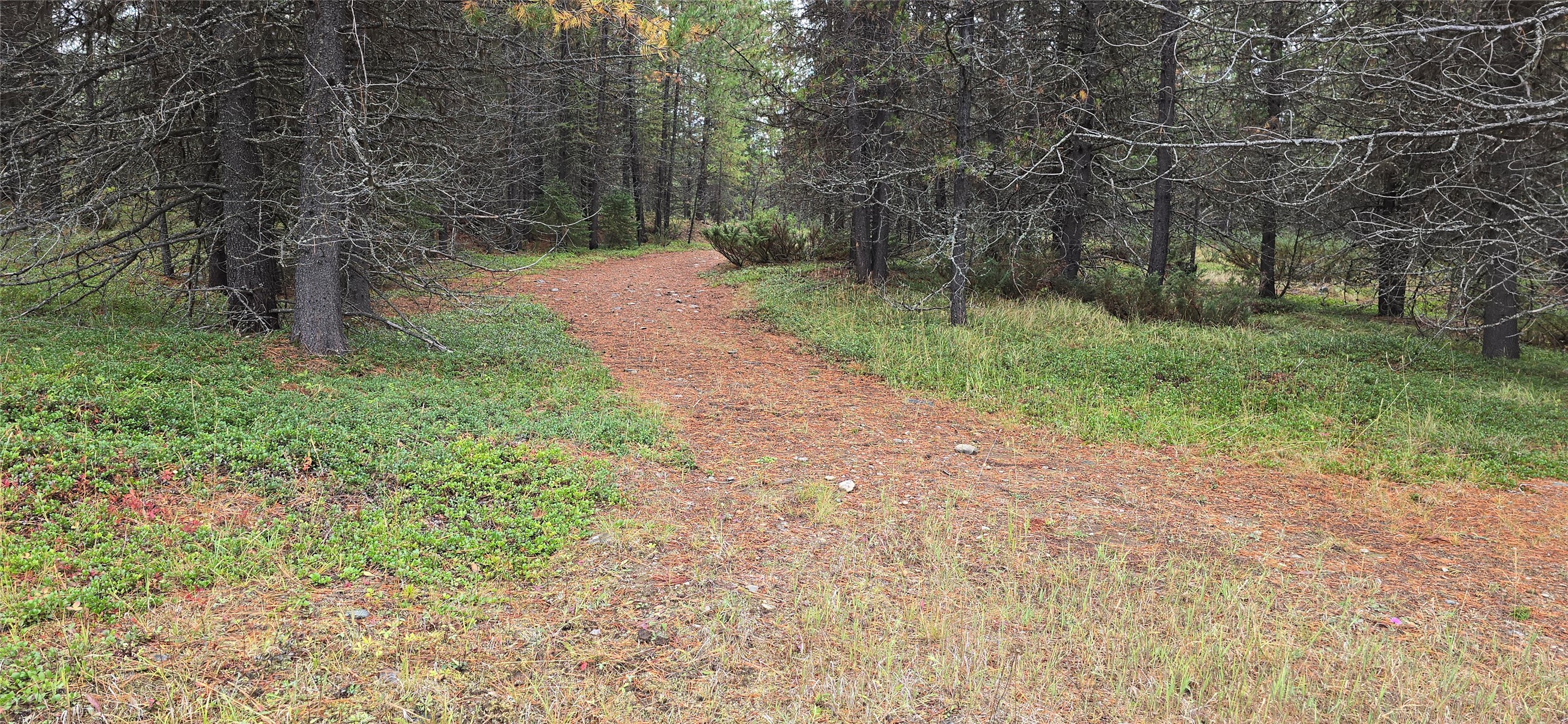 28341 Yaak River Road Property Photo 6