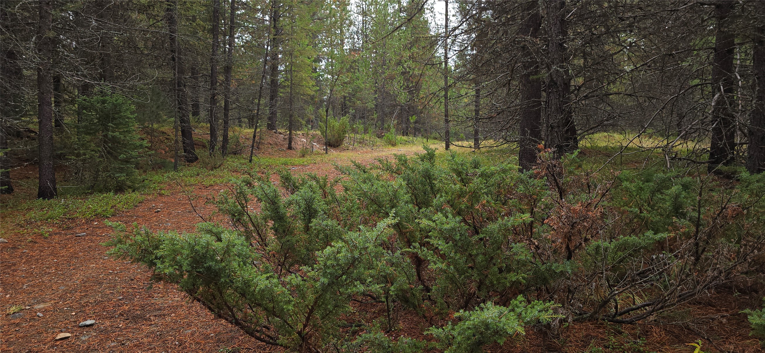 28341 Yaak River Road Property Photo 7