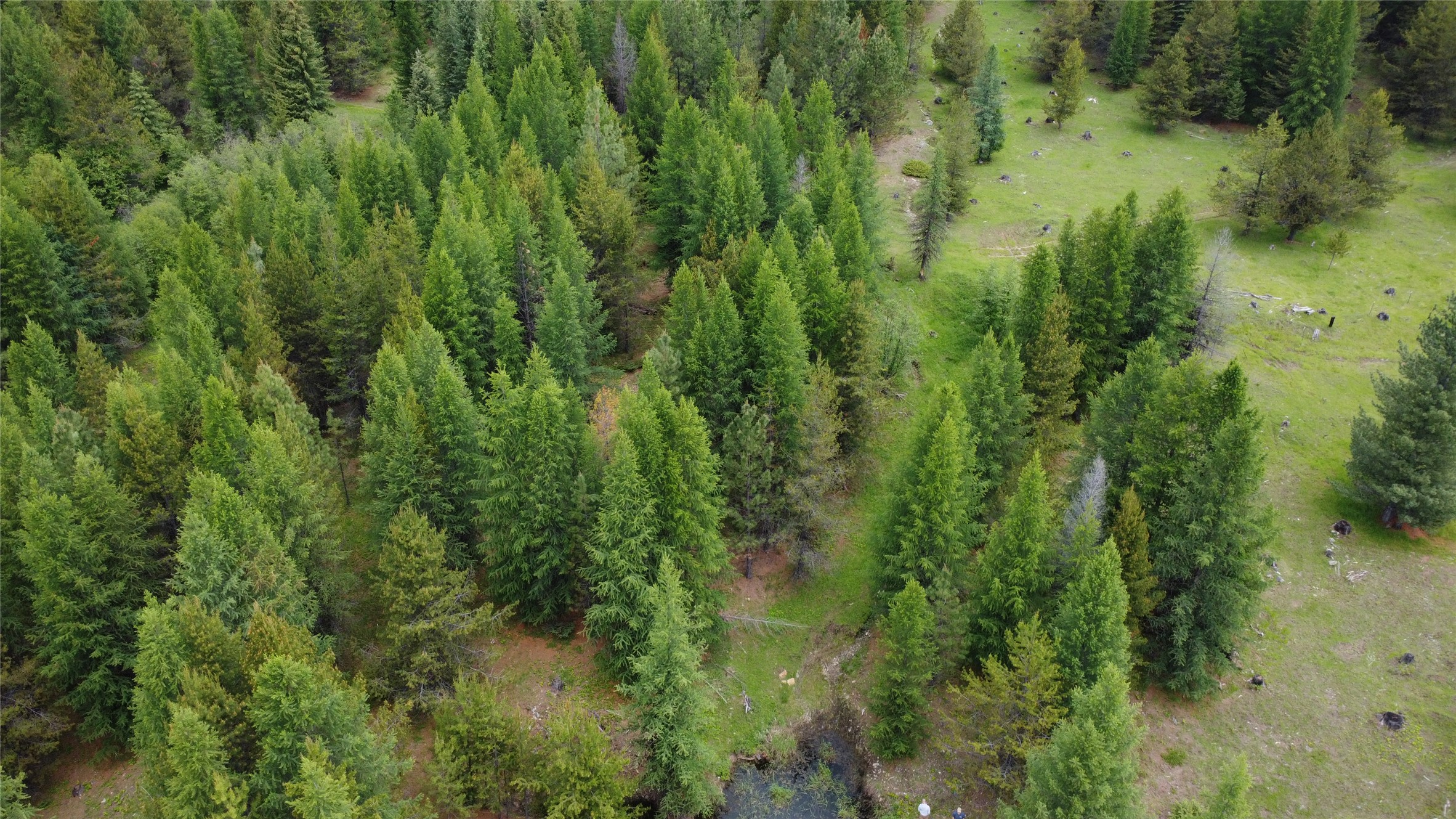 28341 Yaak River Road Property Photo 27