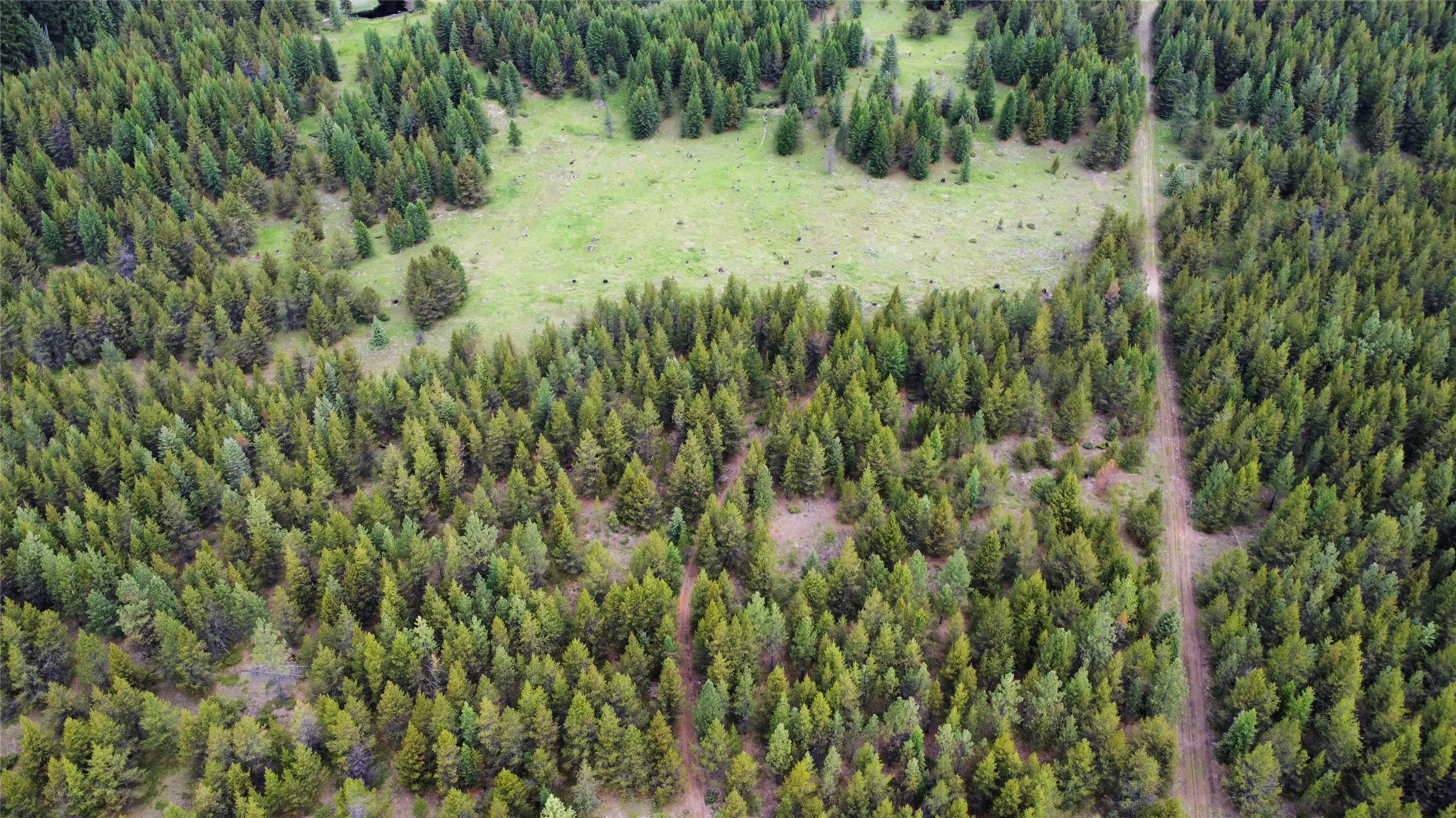 28341 Yaak River Road Property Photo 36