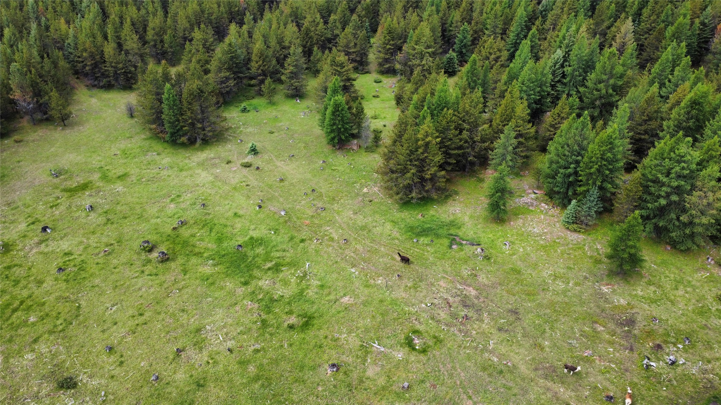 28341 Yaak River Road Property Photo 41