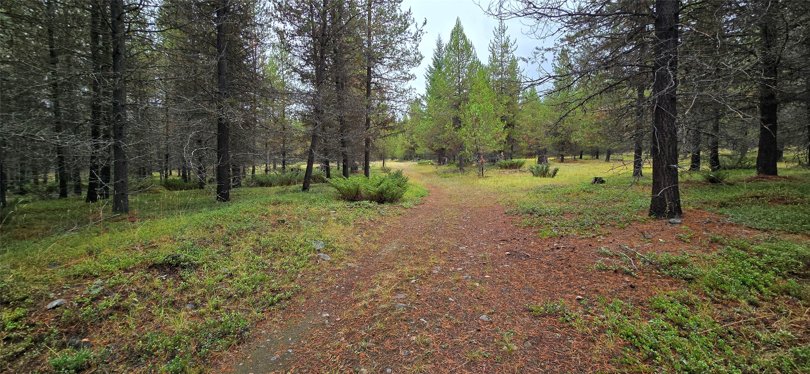 28341 Yaak River Road Property Photo 45